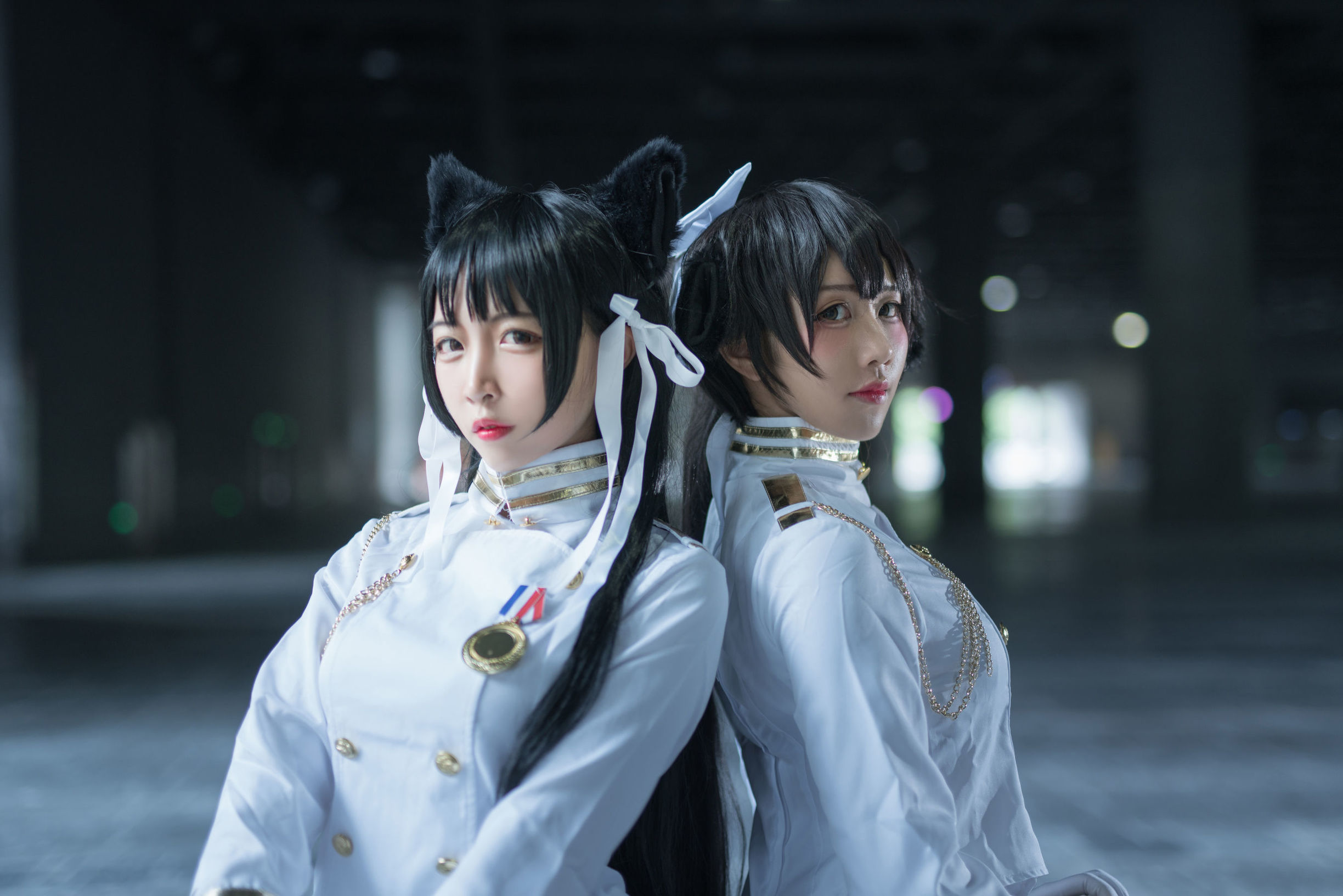 動漫博主九曲珍 碧藍航線 獒犬