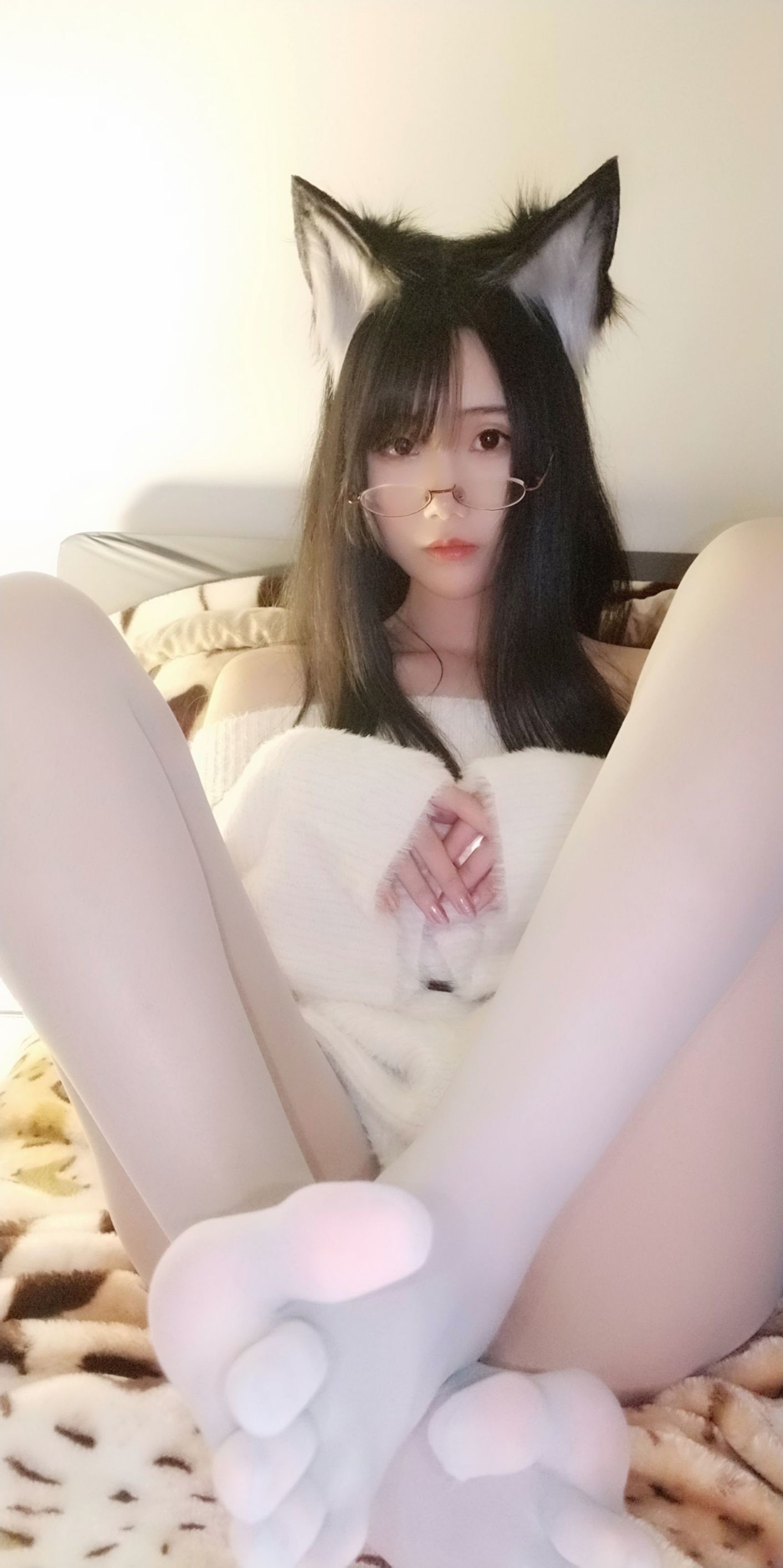 動漫博主曉美媽 拆家二哈