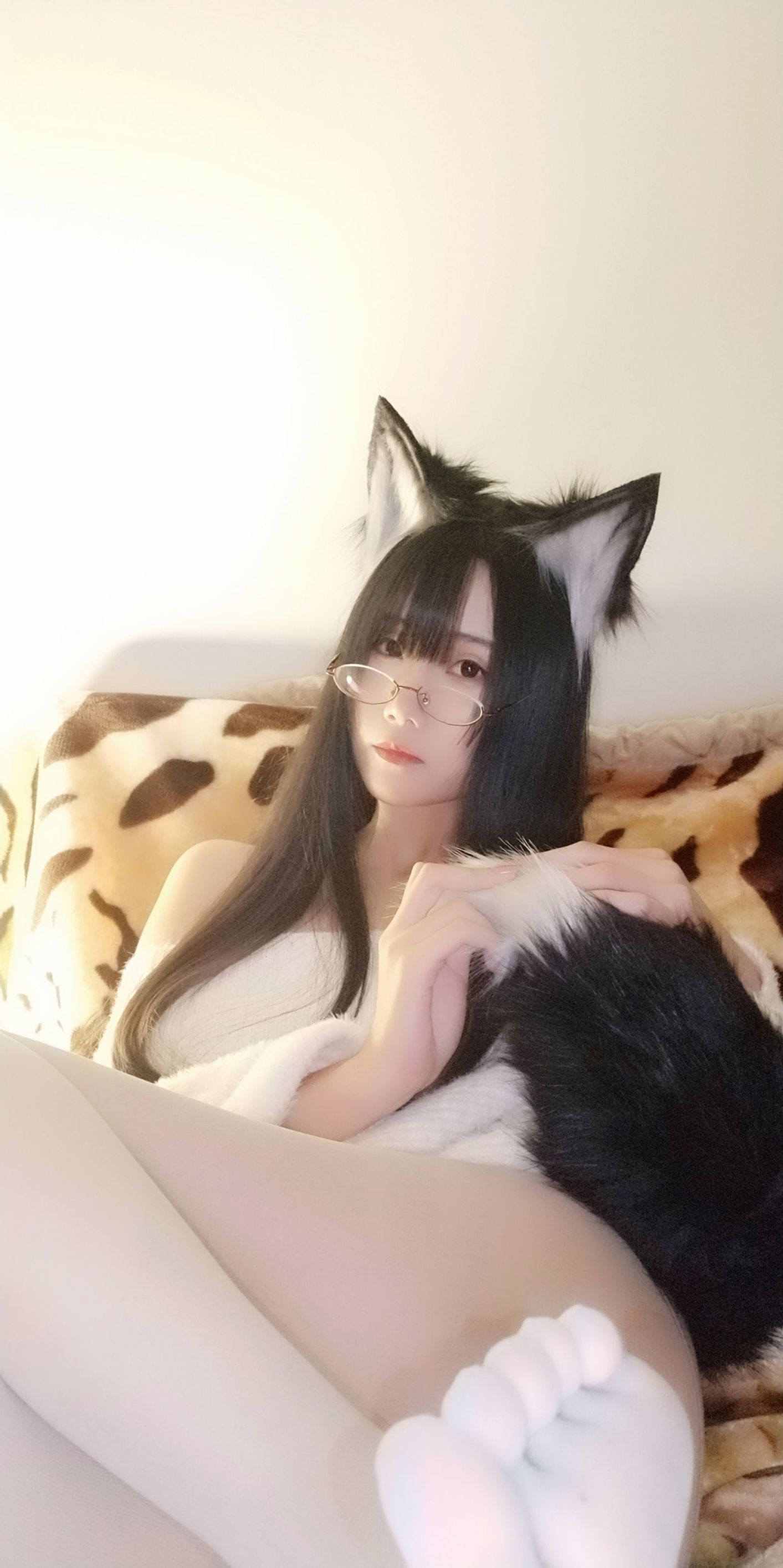 動漫博主曉美媽 拆家二哈