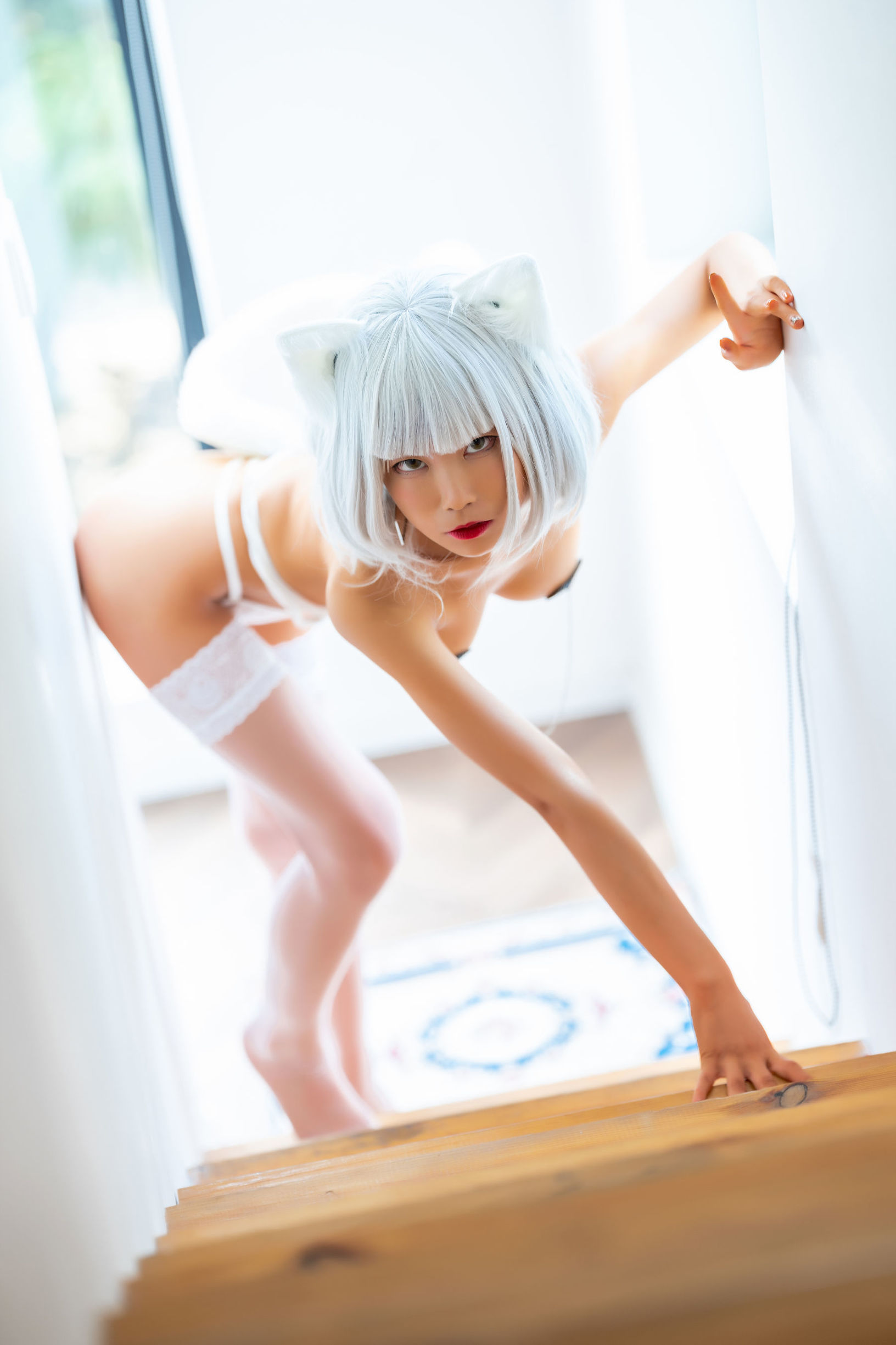 アニメブロガーのスイミャオアクア 白猫