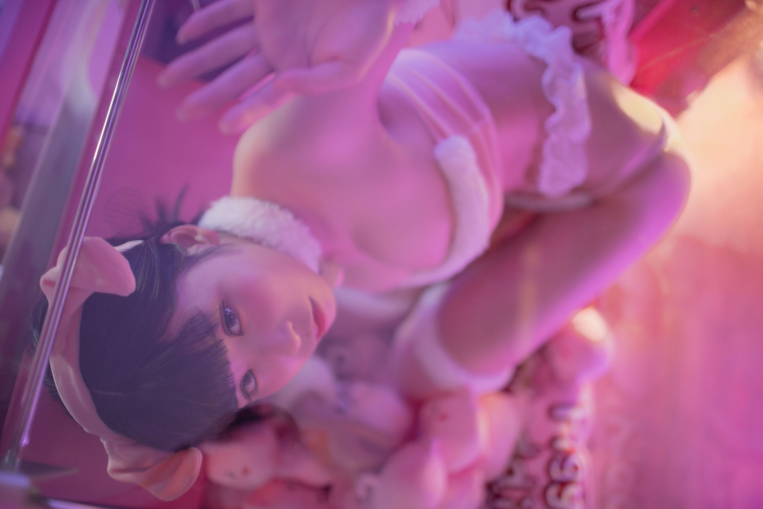 Anime Blogger Ai Laoshi_PhD 2018 New Year Piggy