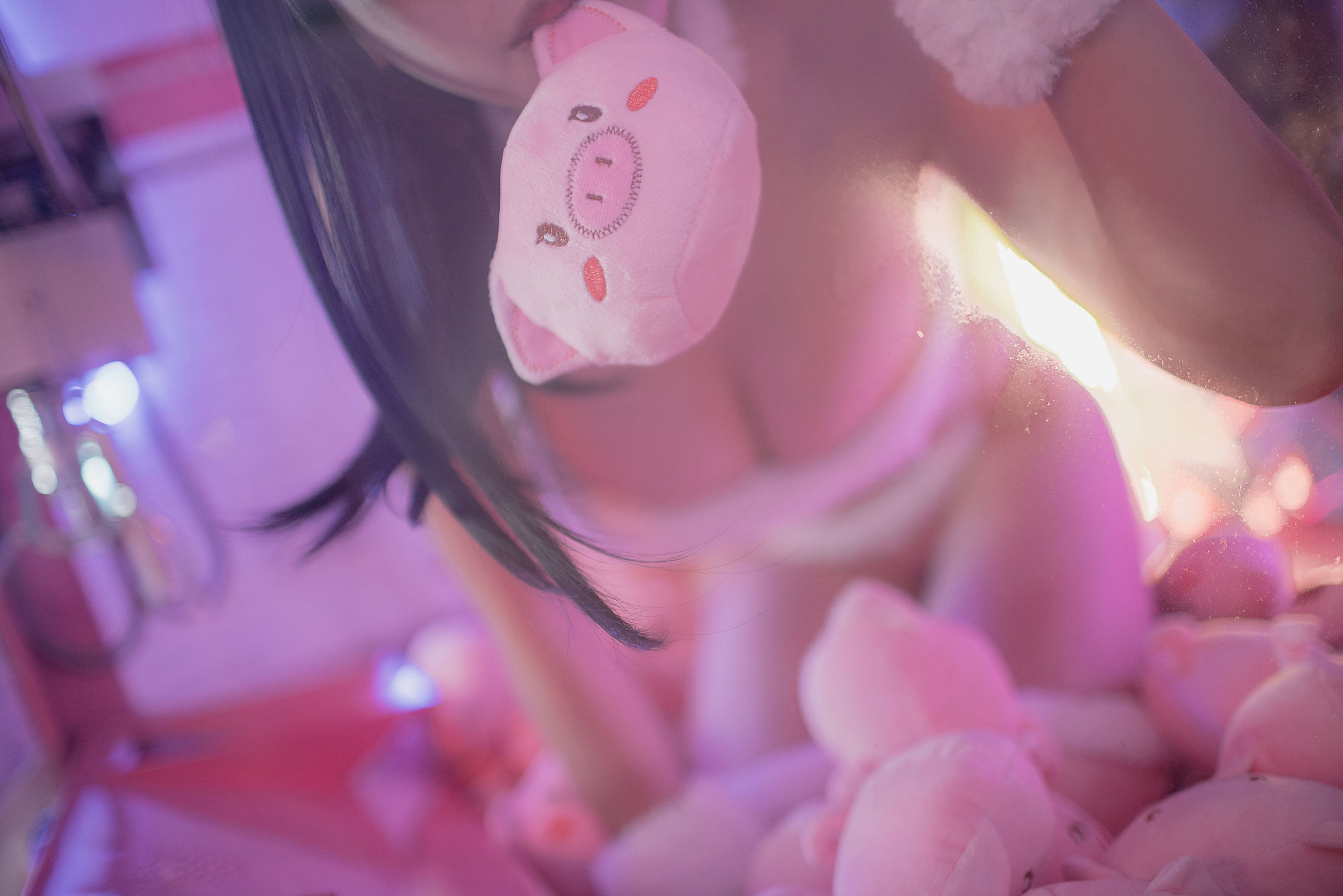 Anime Blogger Ai Laoshi_PhD 2018 New Year Piggy