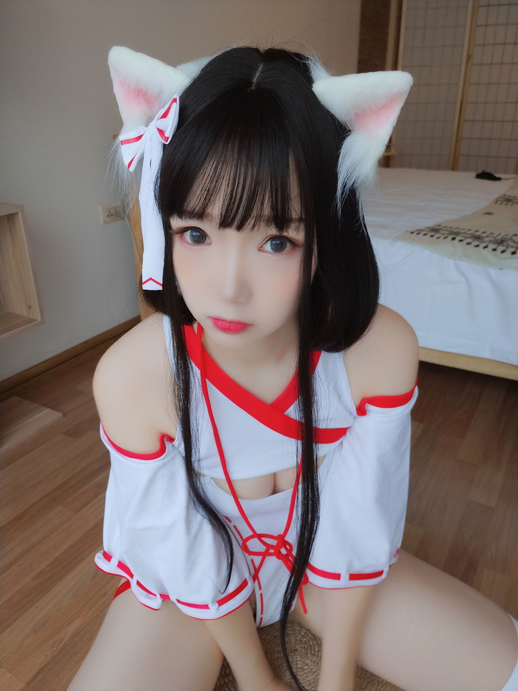 アニメブロガー雪晴アストラ 神社の猫