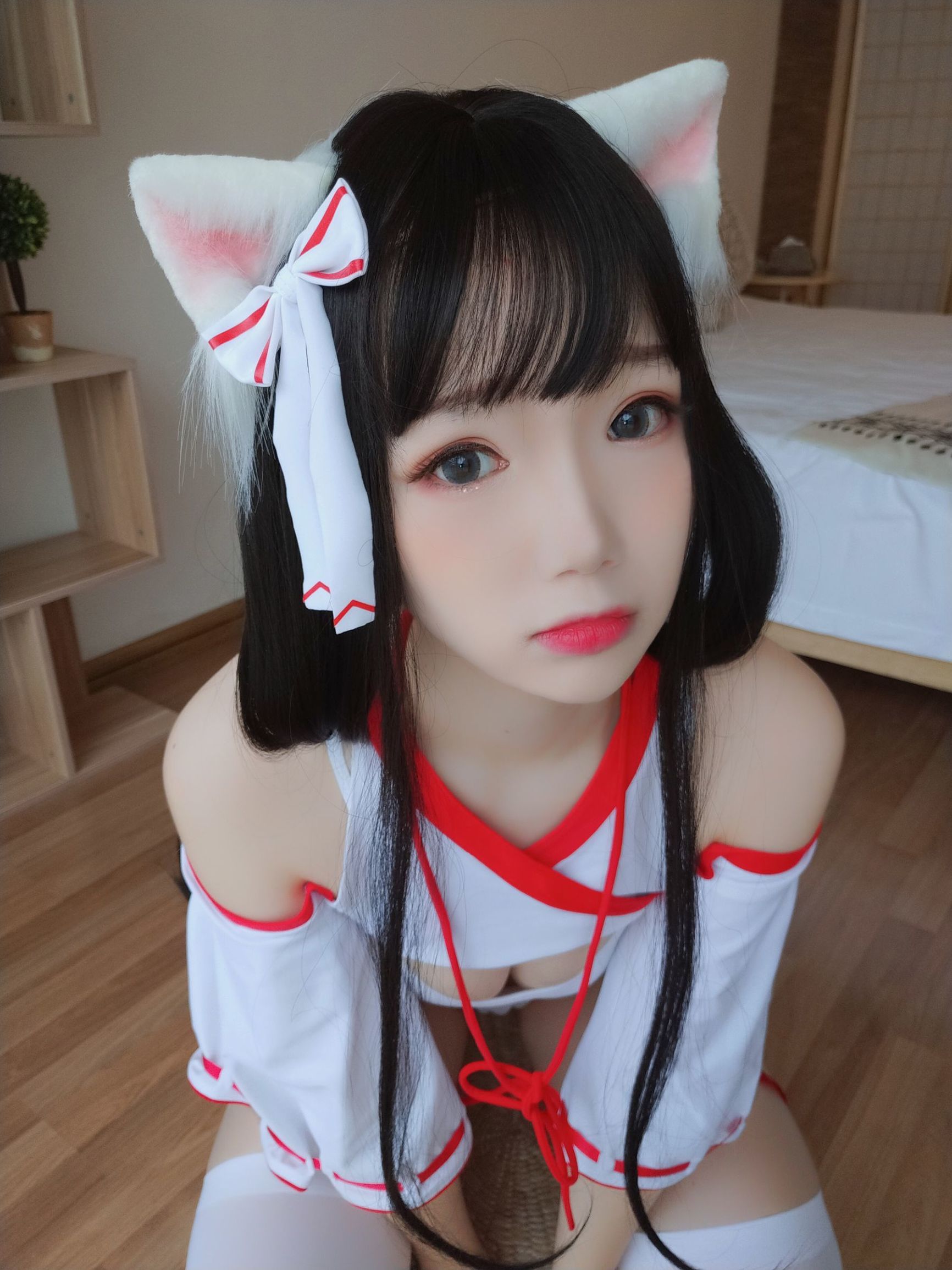アニメブロガー雪晴アストラ 神社の猫