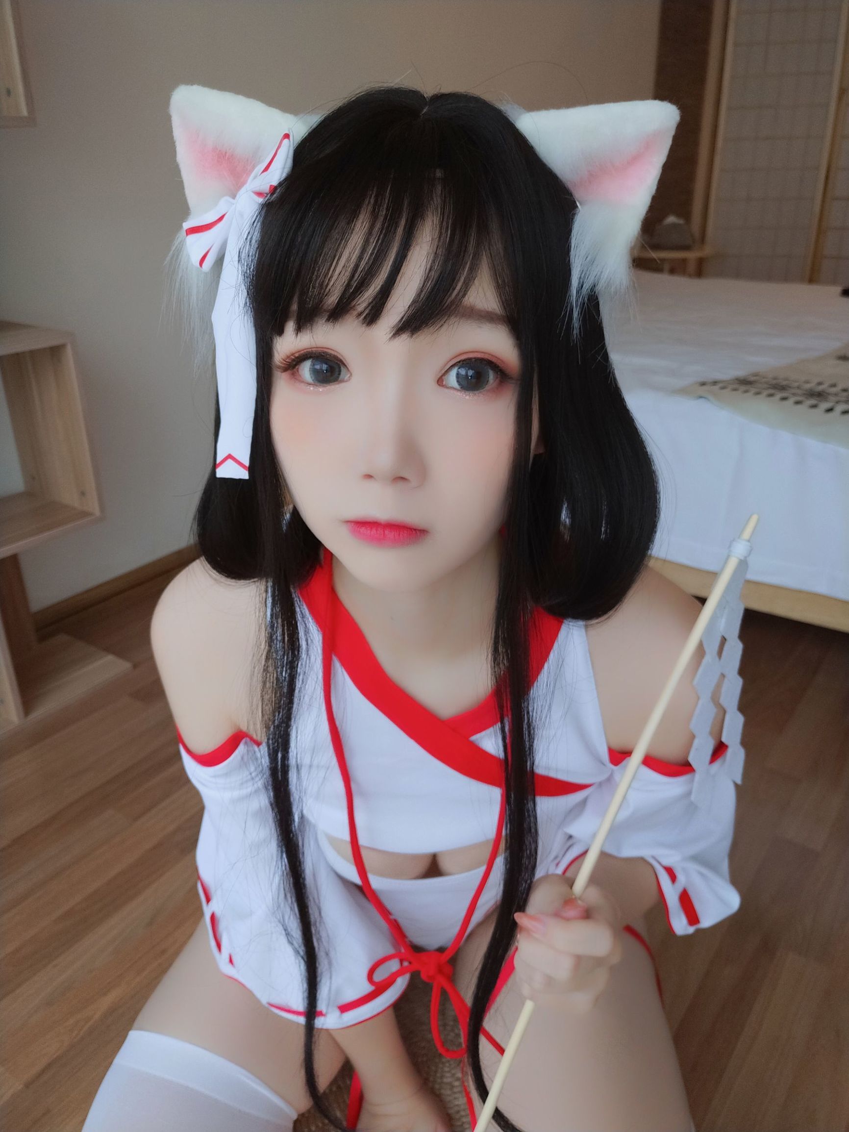 アニメブロガー雪晴アストラ 神社の猫