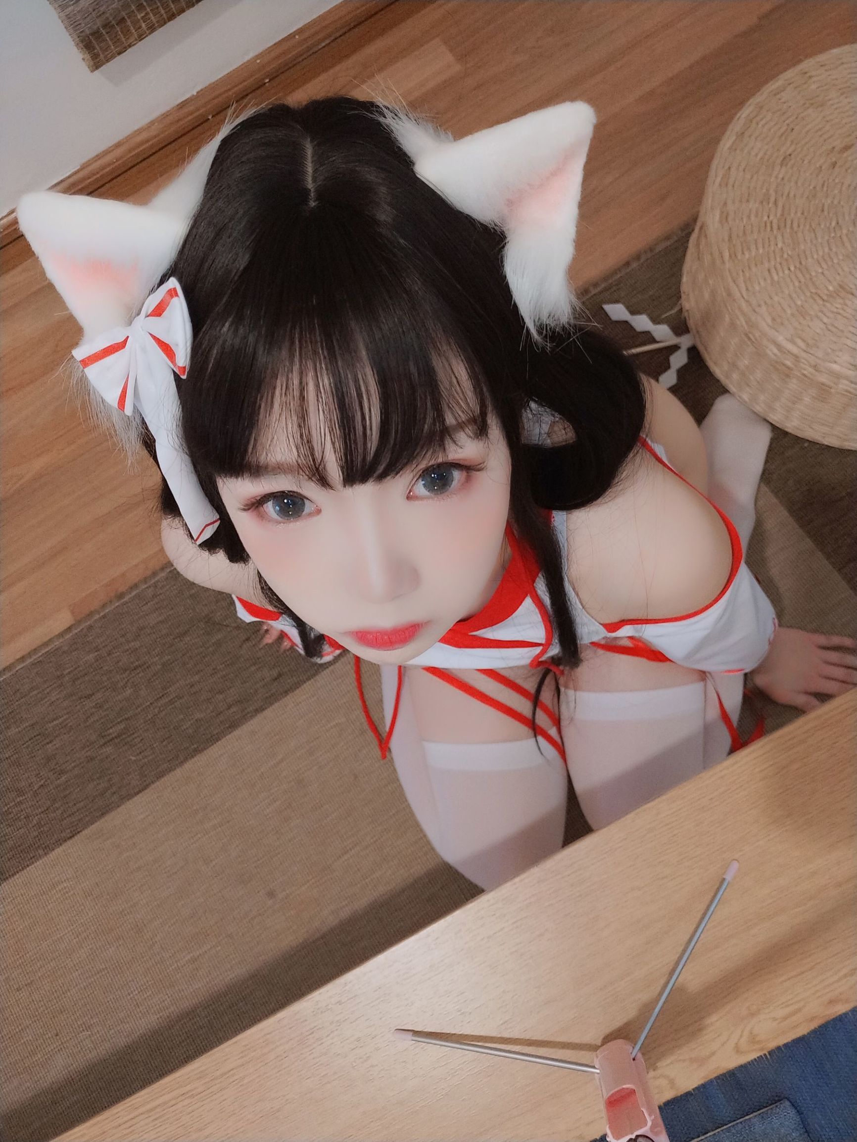 アニメブロガー雪晴アストラ 神社の猫