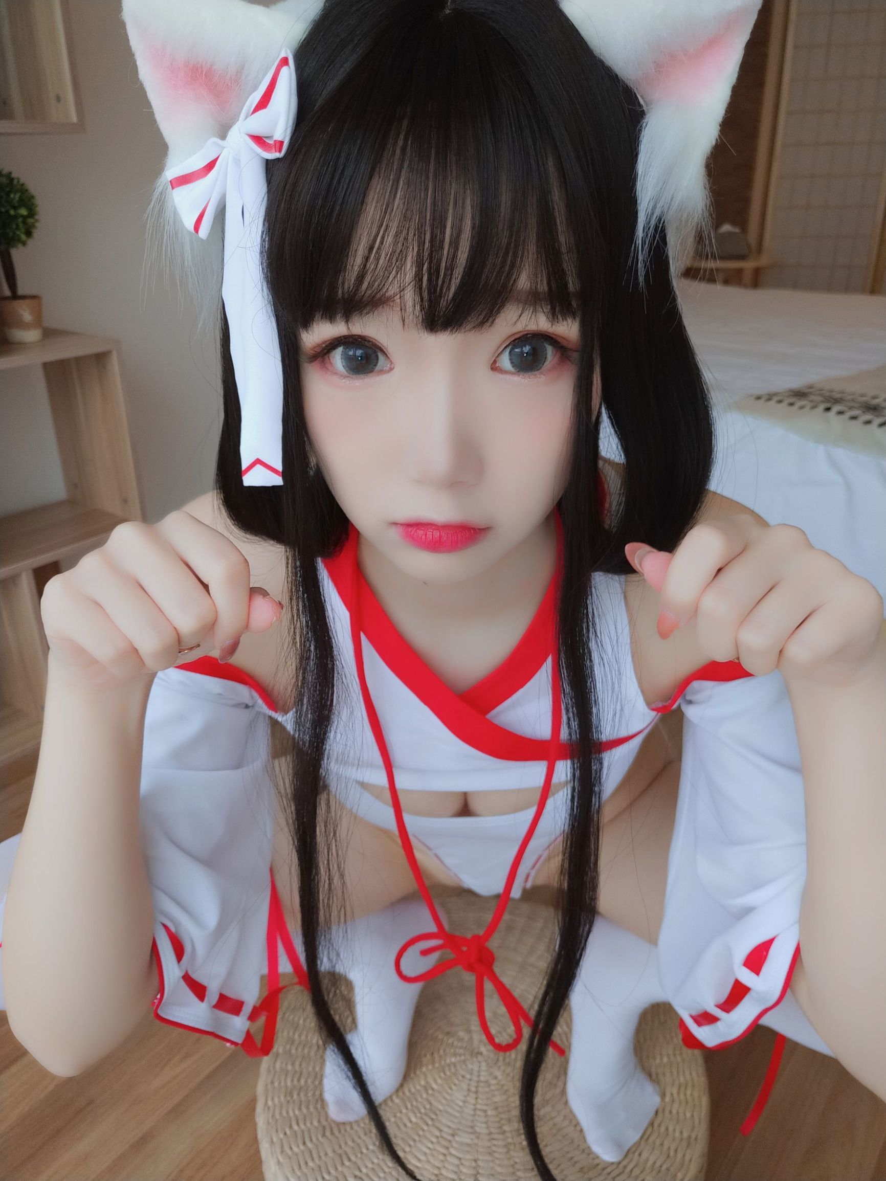 アニメブロガー雪晴アストラ 神社の猫