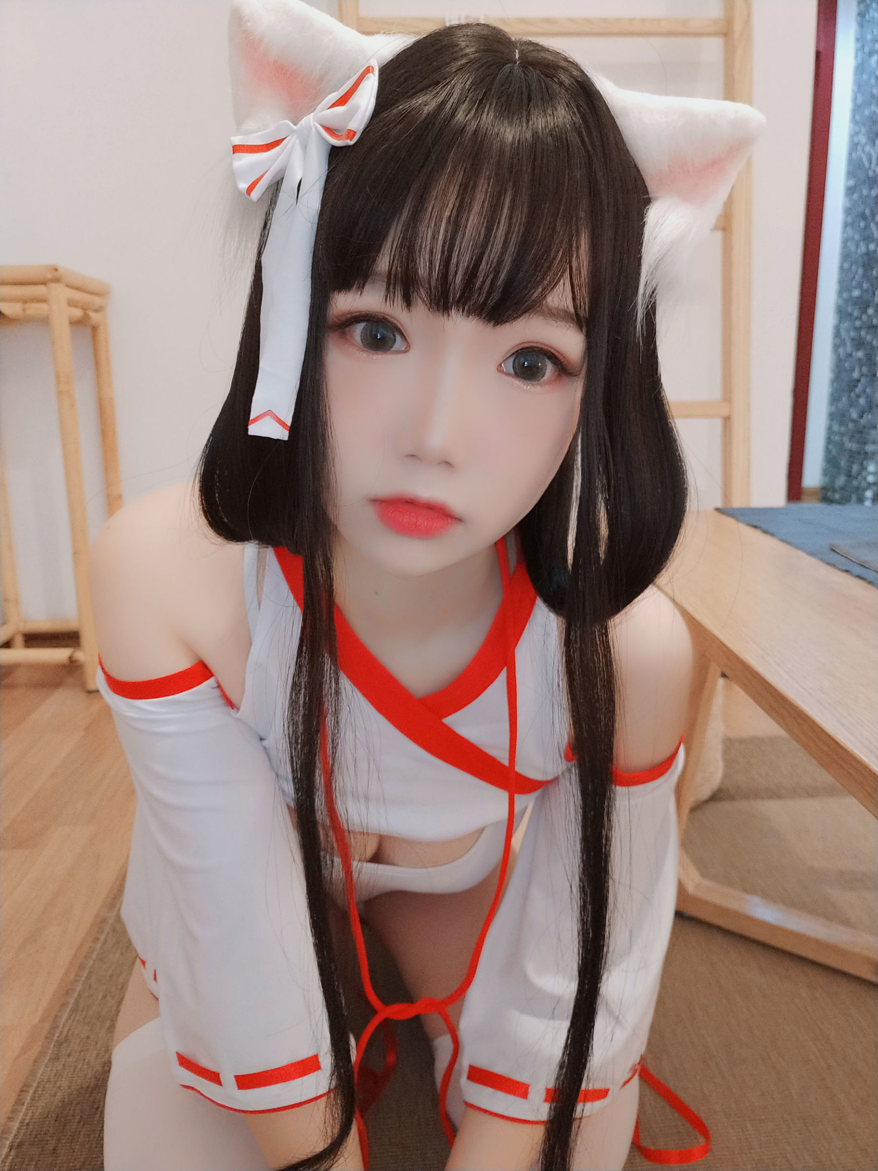 アニメブロガー雪晴アストラ 神社の猫