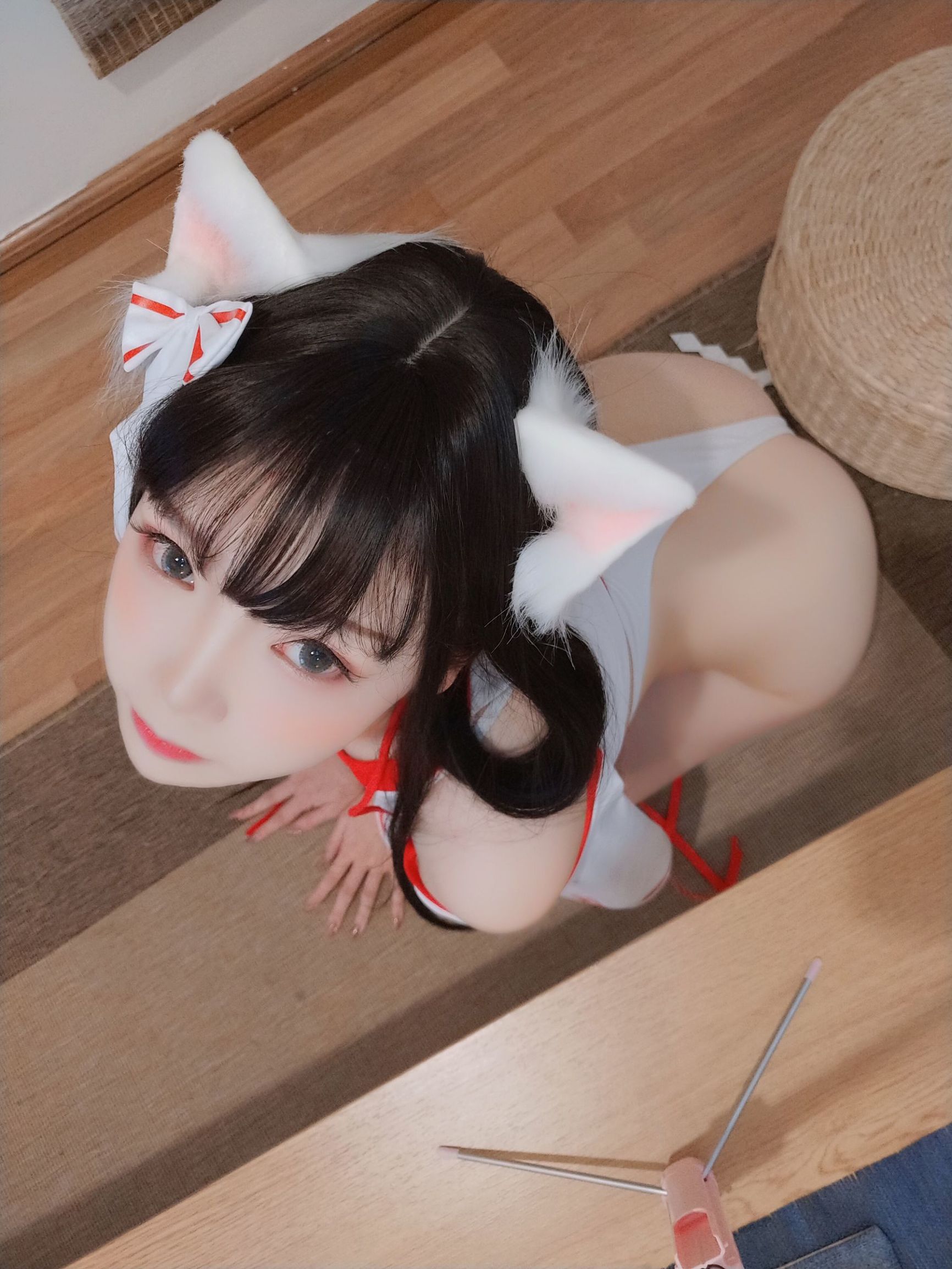 アニメブロガー雪晴アストラ 神社の猫