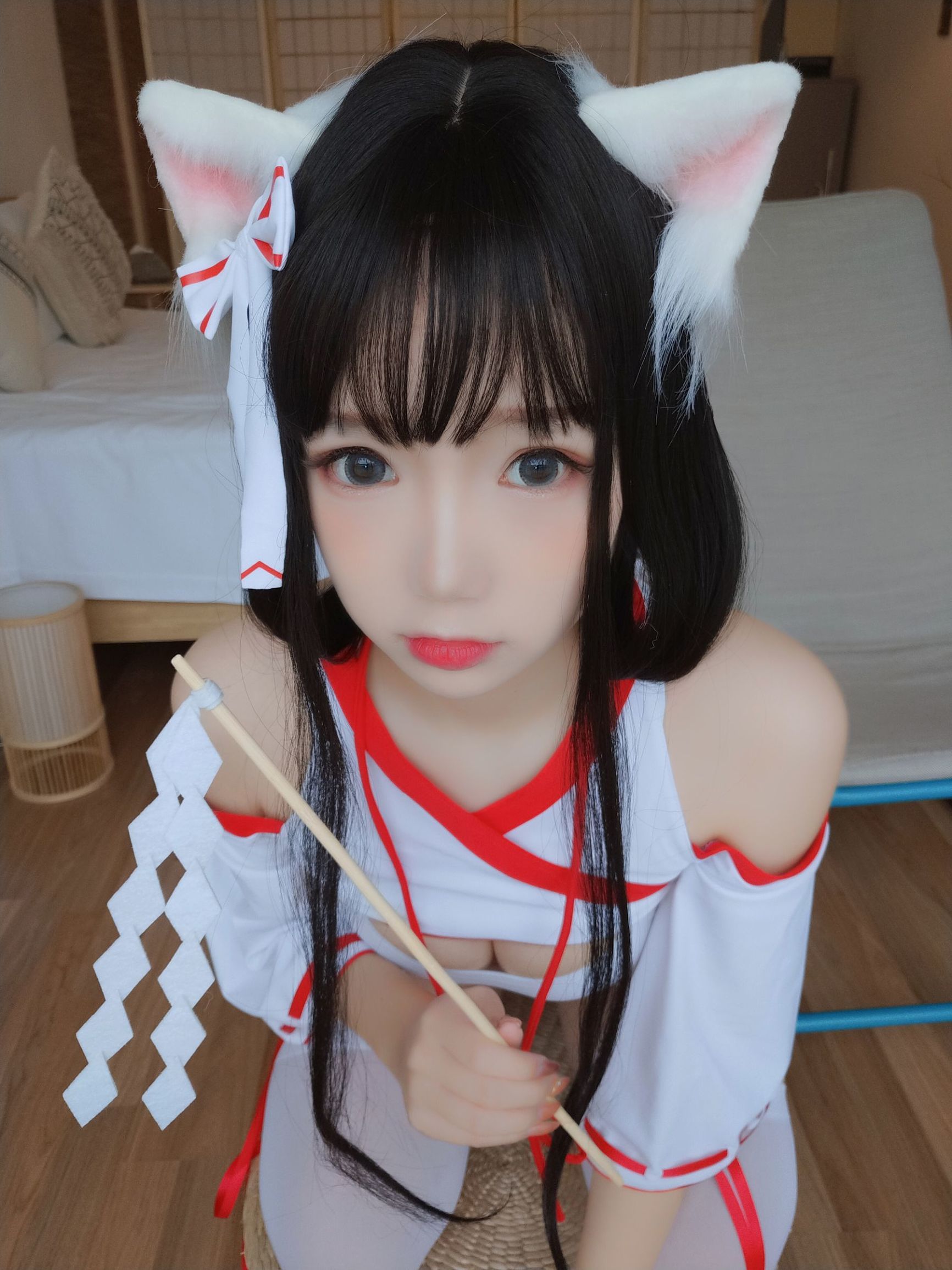 アニメブロガー雪晴アストラ 神社の猫