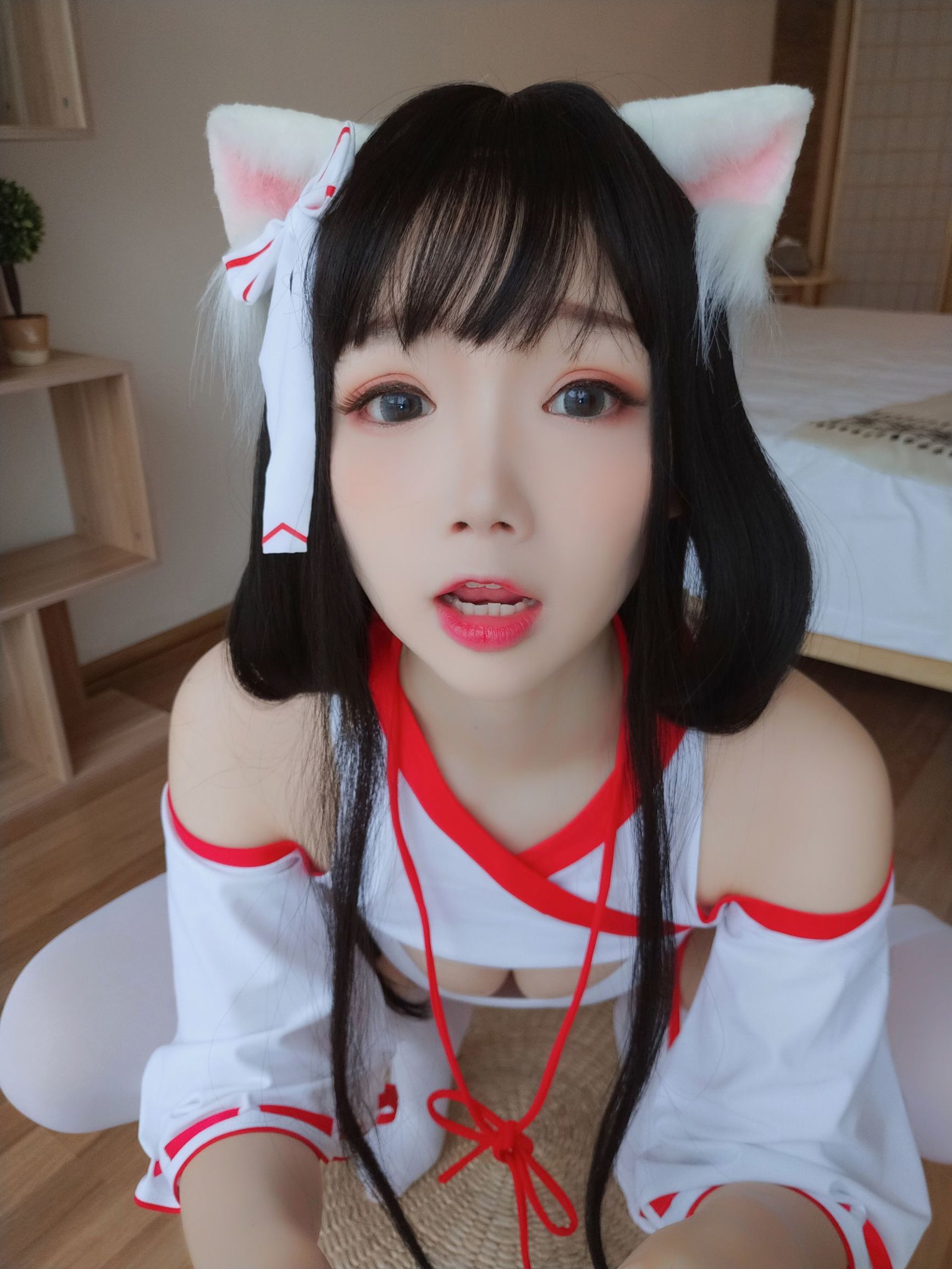 アニメブロガー雪晴アストラ 神社の猫