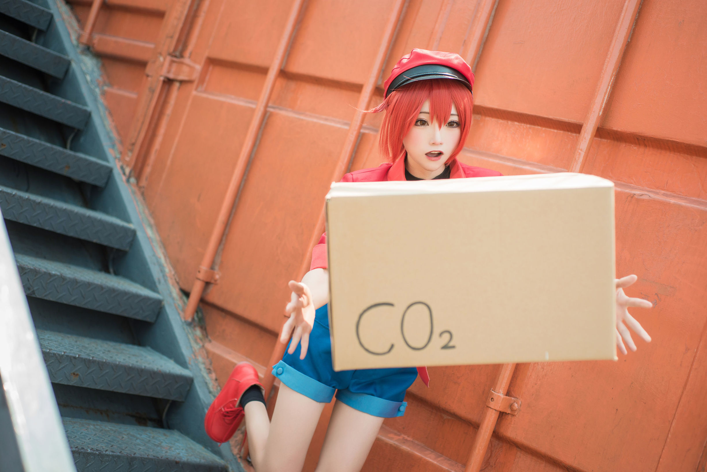 Anime blogger Kitaro_绮太郎 Cells at Work