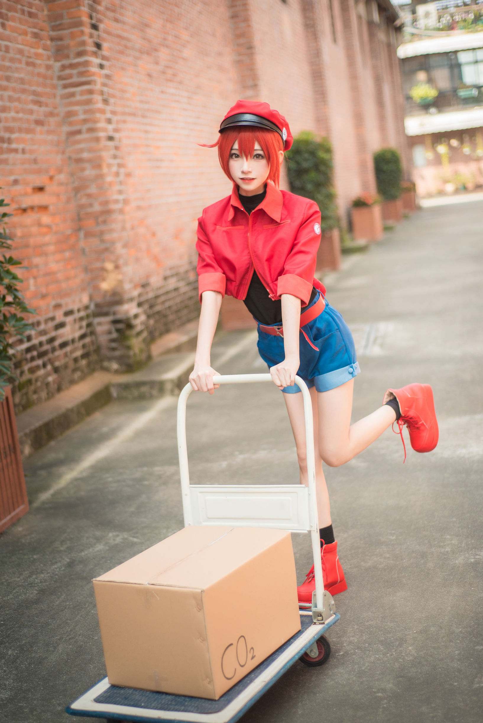 Anime blogger Kitaro_绮太郎 Cells at Work