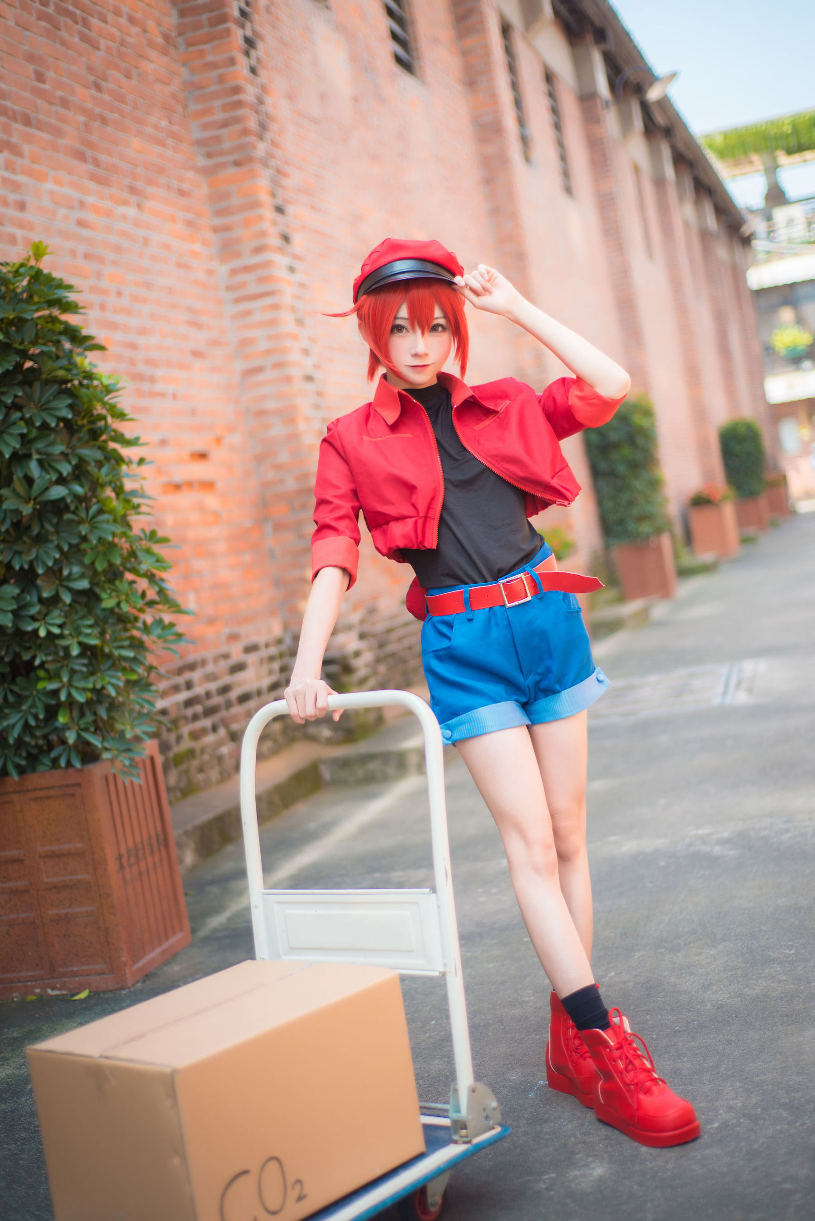 Anime blogger Kitaro_绮太郎 Cells at Work