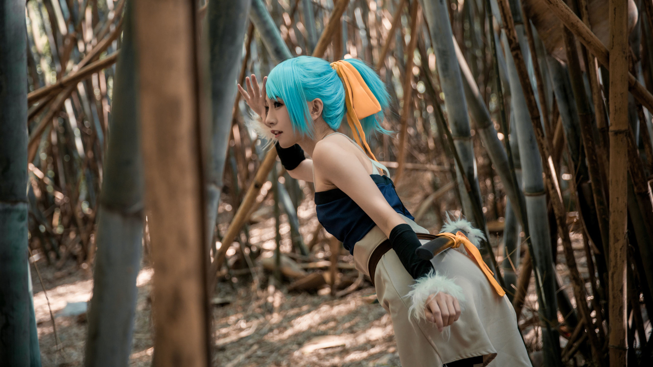 アニメブロガー Kitaro_綺太郎 NARUTO 碧藍の牙