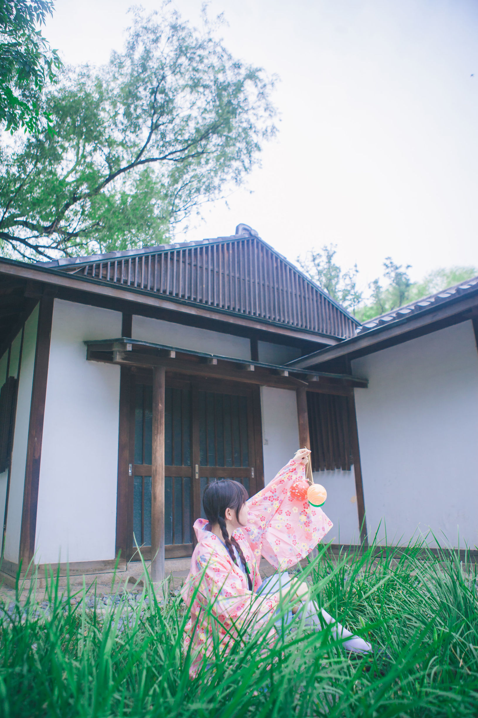 Cute Younger Sister Sakura Group and Kimono