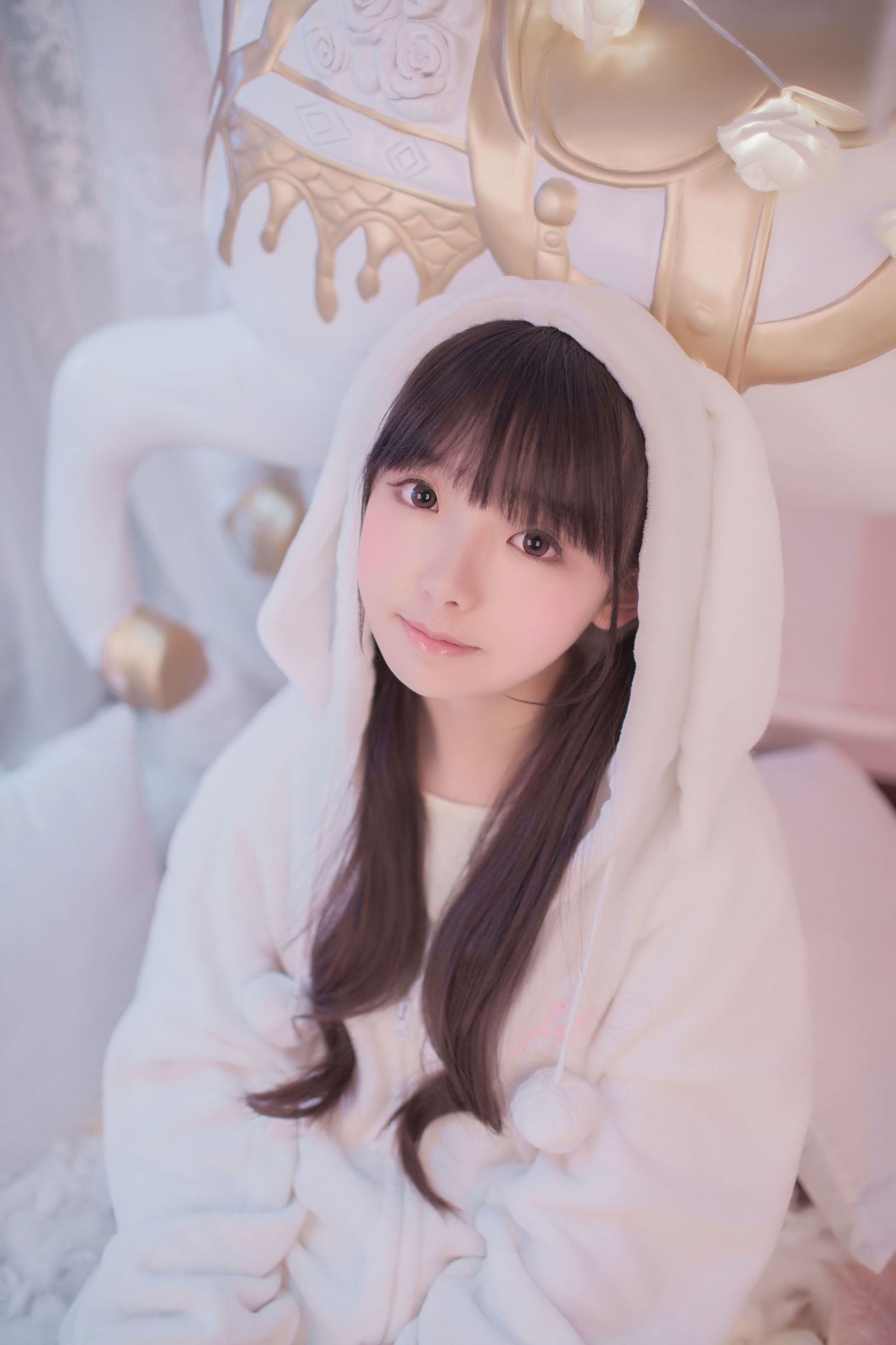 可愛い妹 桜群 ガラスのカバーの下の回転木馬