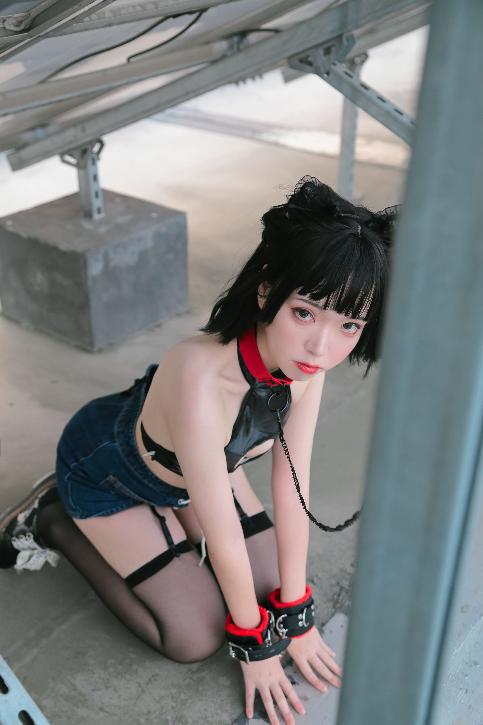Cô gái dễ thương Fushii_Hải Đường Đầu mèo mèo