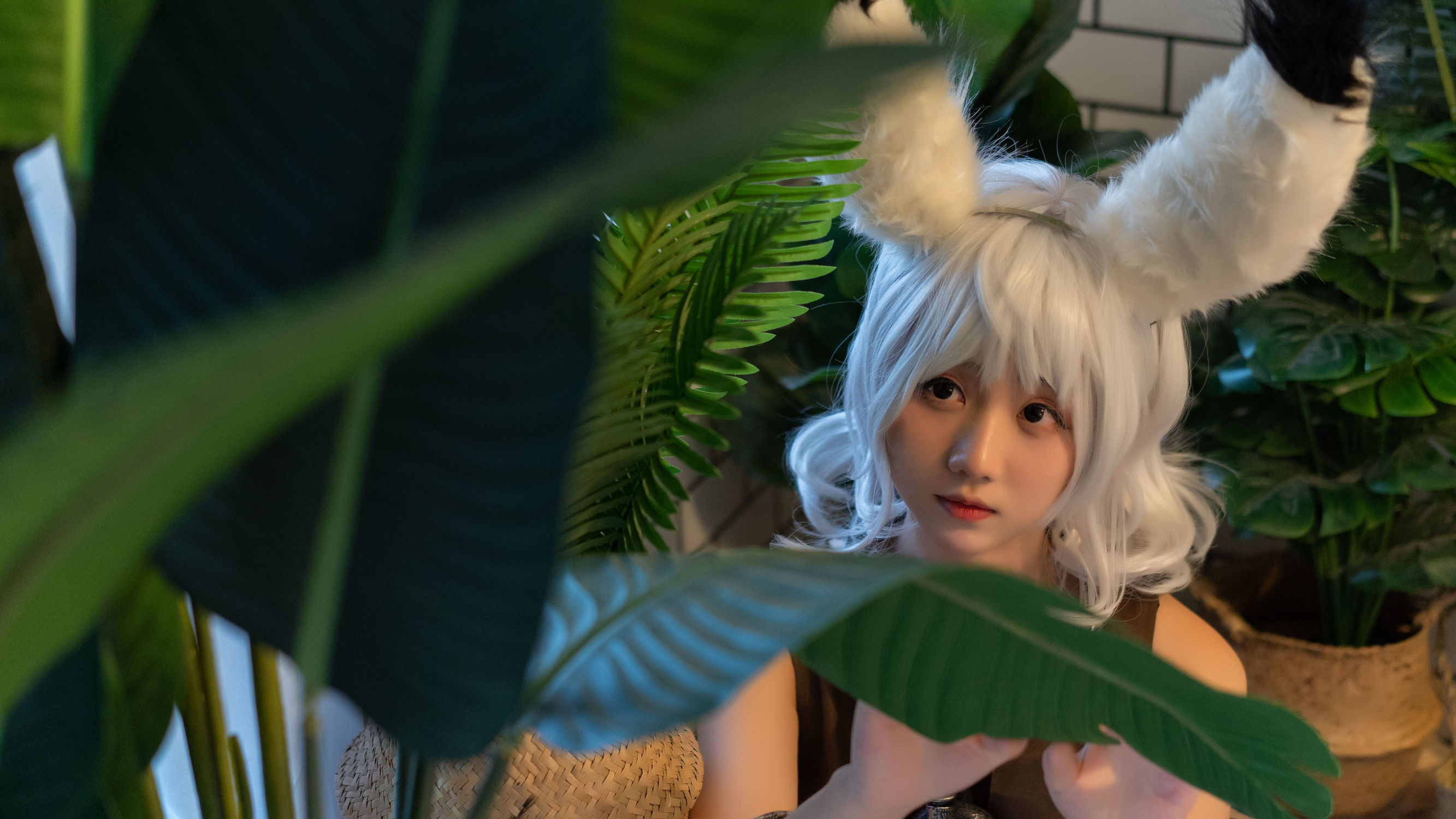ウェイボー フクリアジ ジンちゃん ヒル