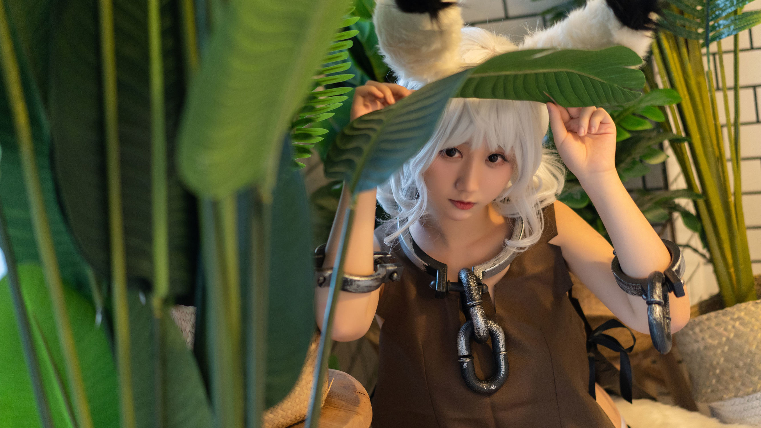 ウェイボー フクリアジ ジンちゃん ヒル
