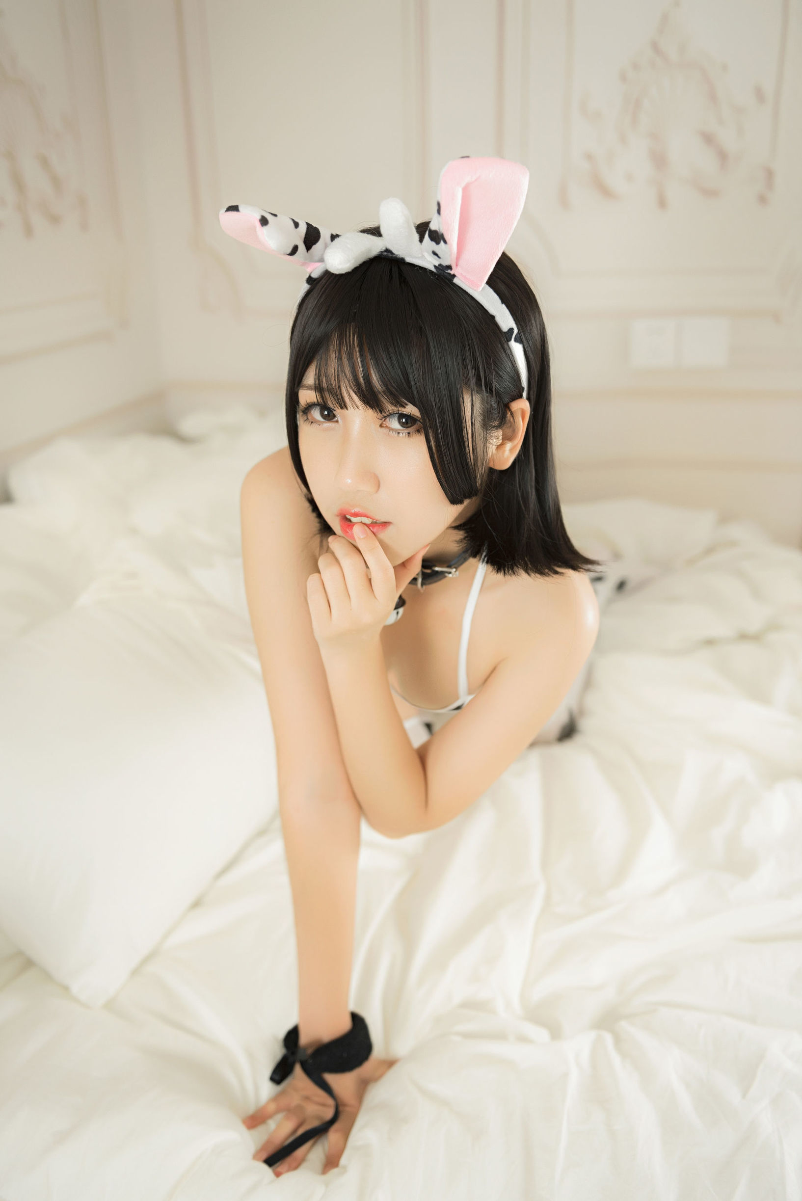 Đấu Nương - Lợi Thế Đồ Tập: Đấu Nương × Bất Đới Miêu Sữa