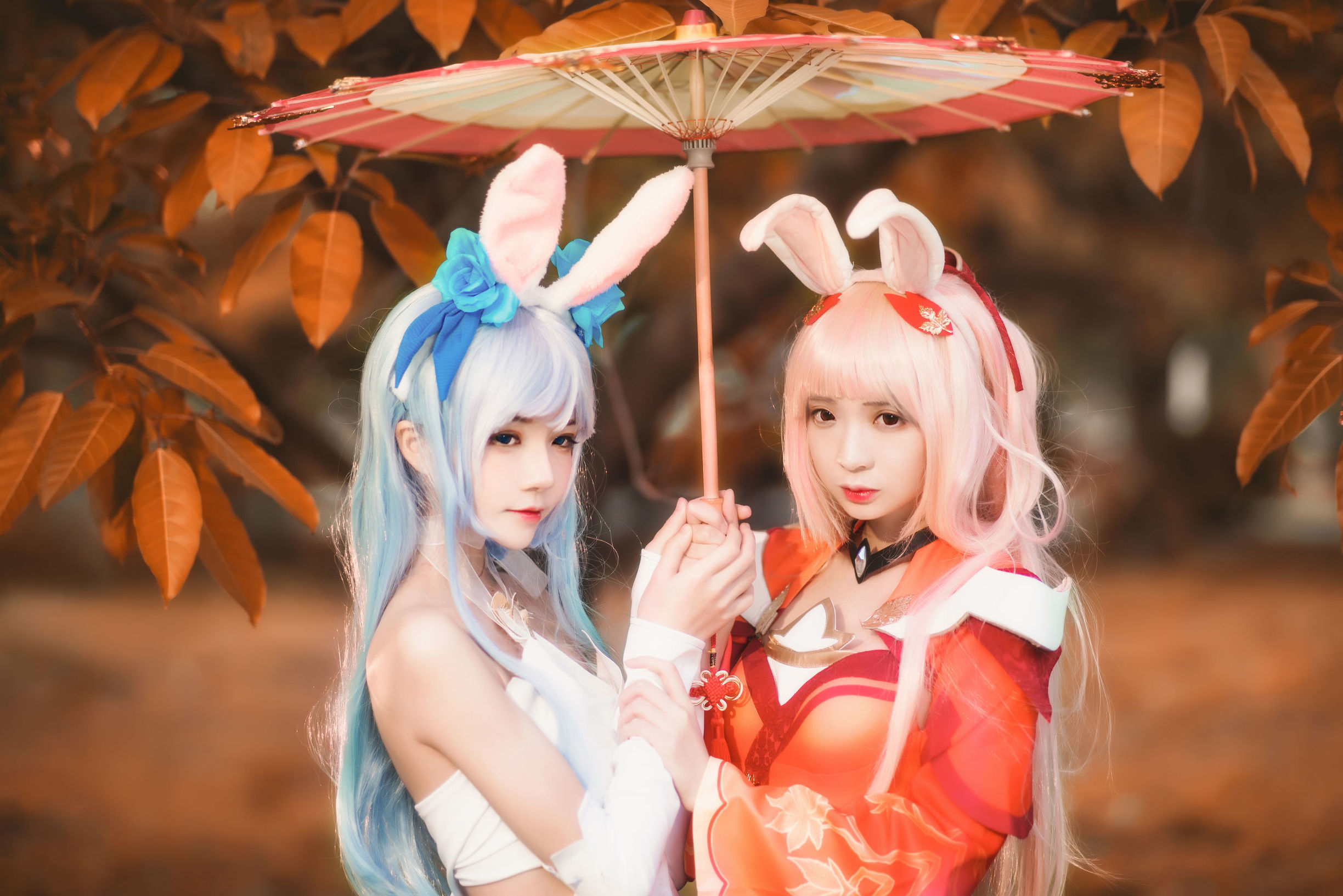 櫻桃喵&瘋貓ss 公孫離