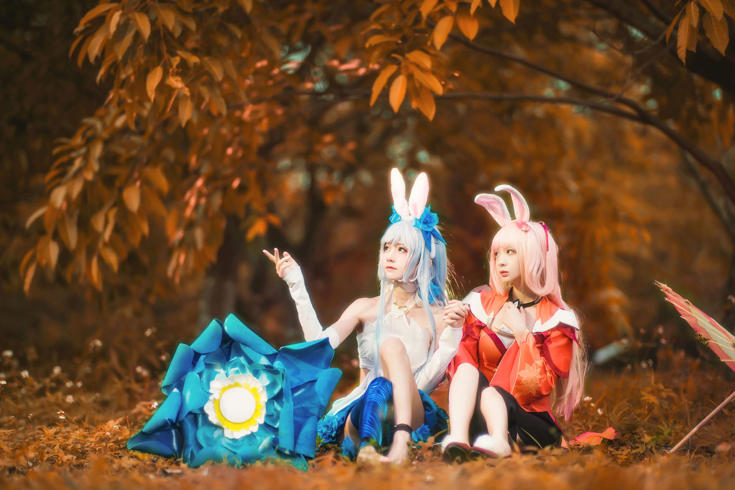 櫻桃喵&瘋貓ss 公孫離