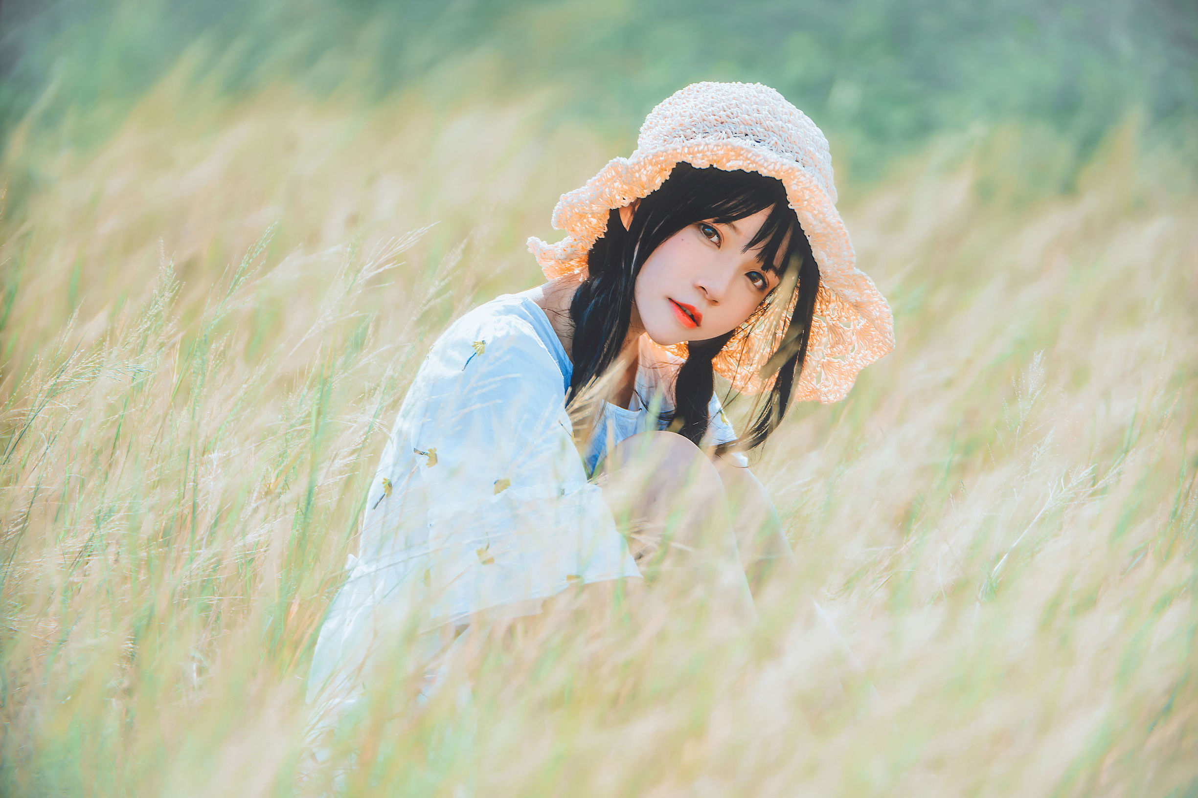 桜桃ニャン《田野》