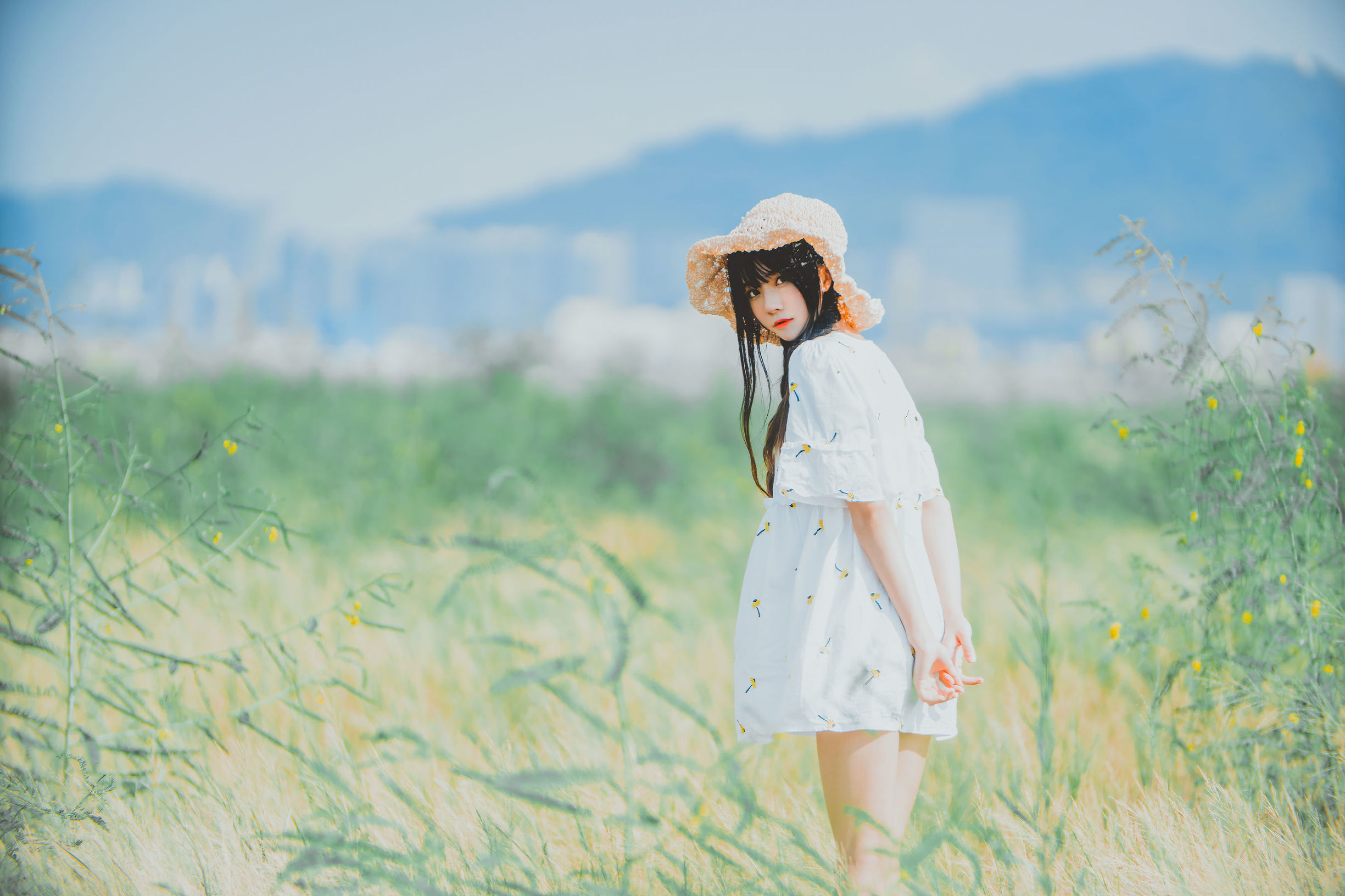 桜桃ニャン《田野》