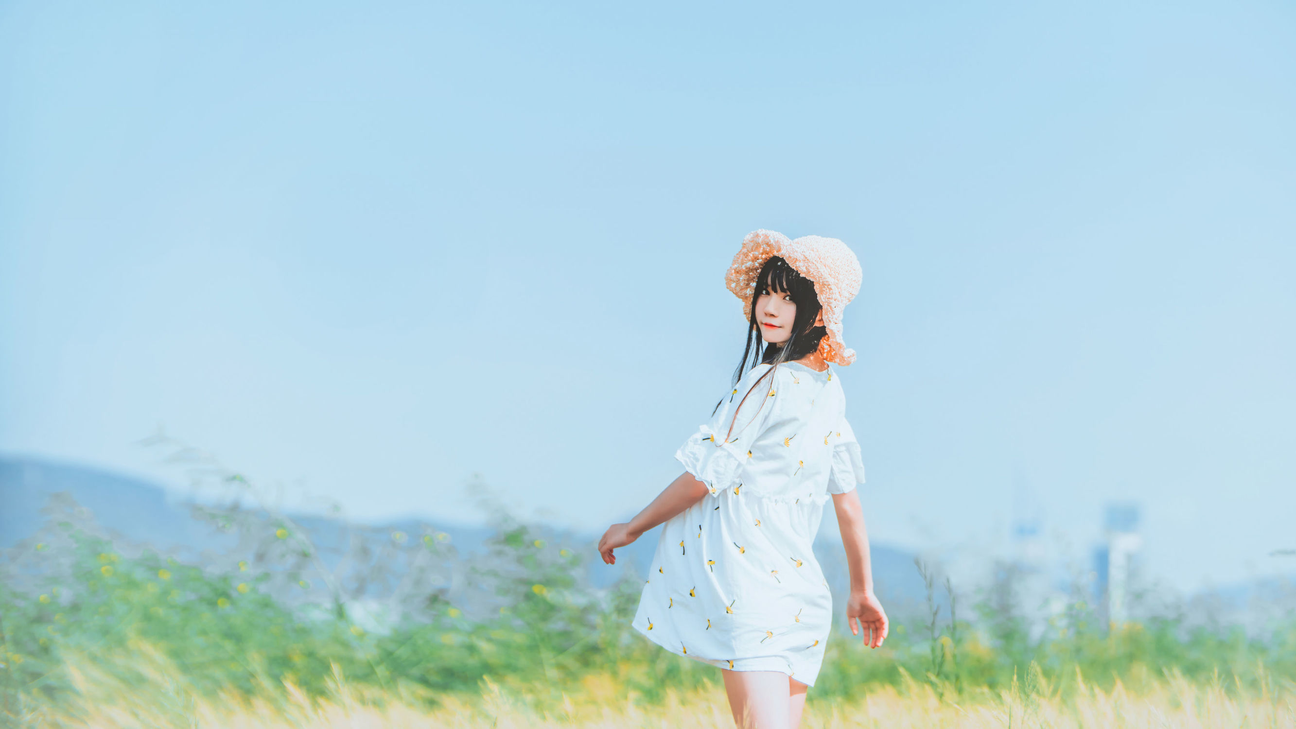 桜桃ニャン《田野》