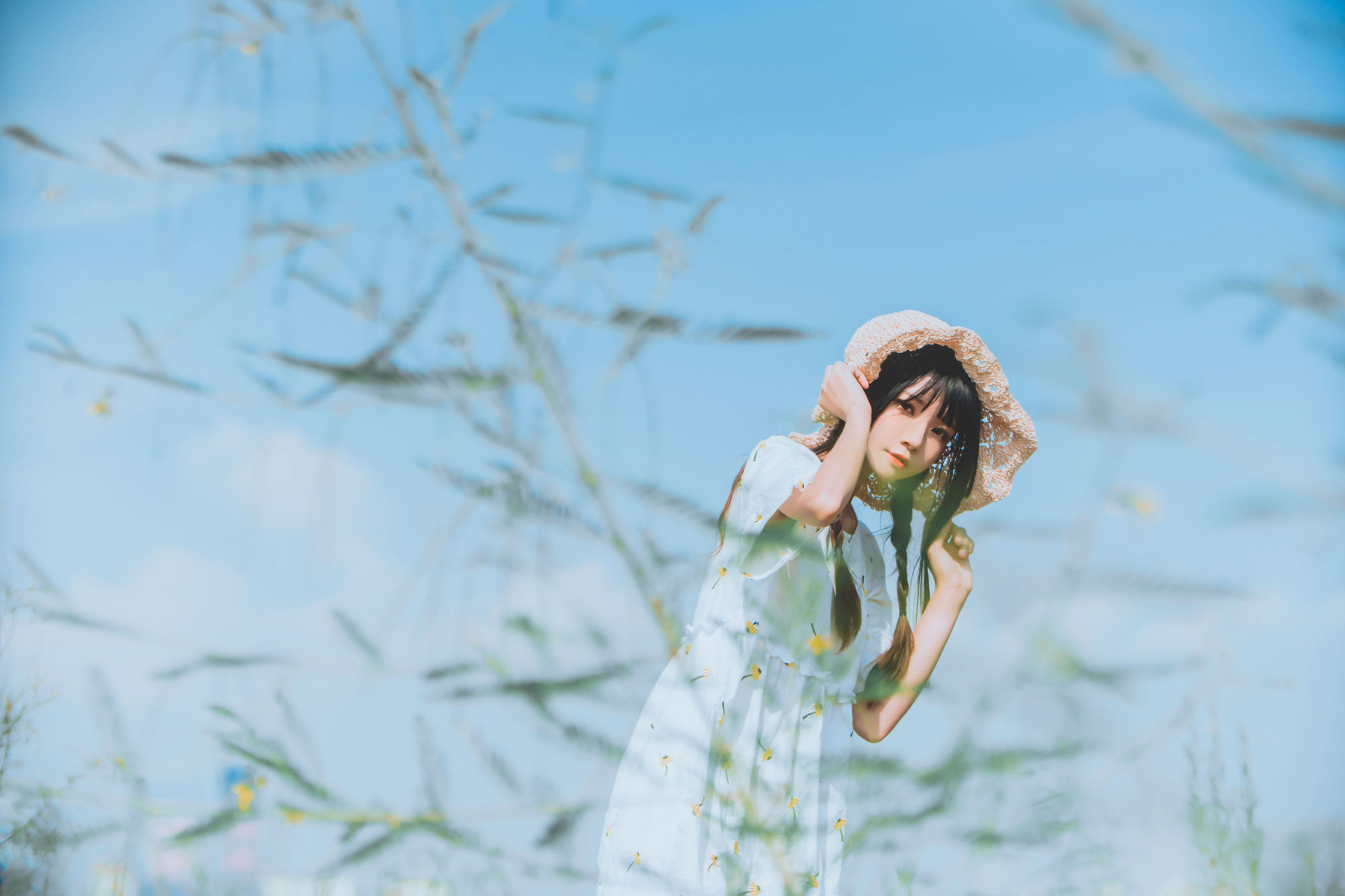 桜桃ニャン《田野》