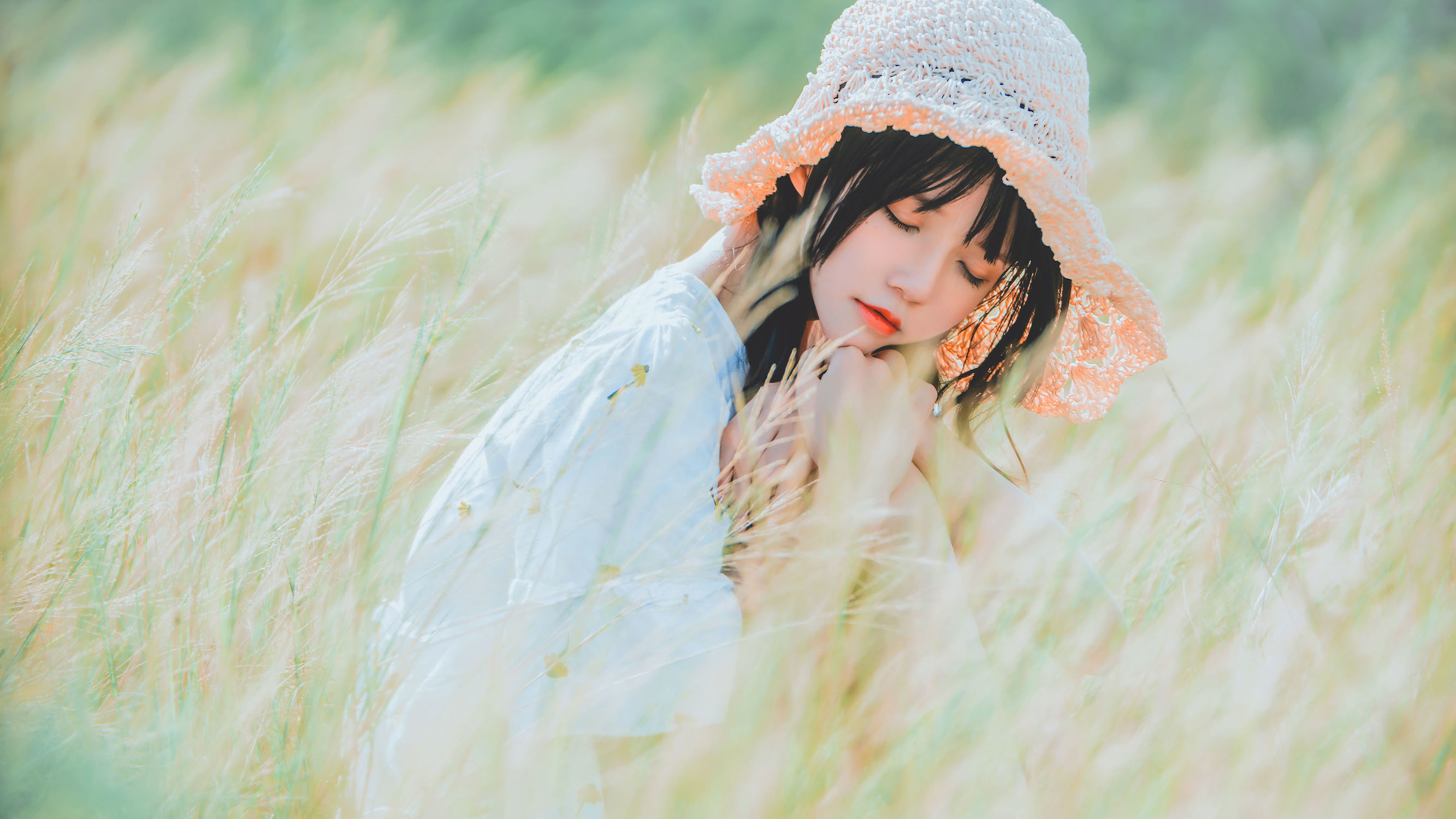 桜桃ニャン《田野》