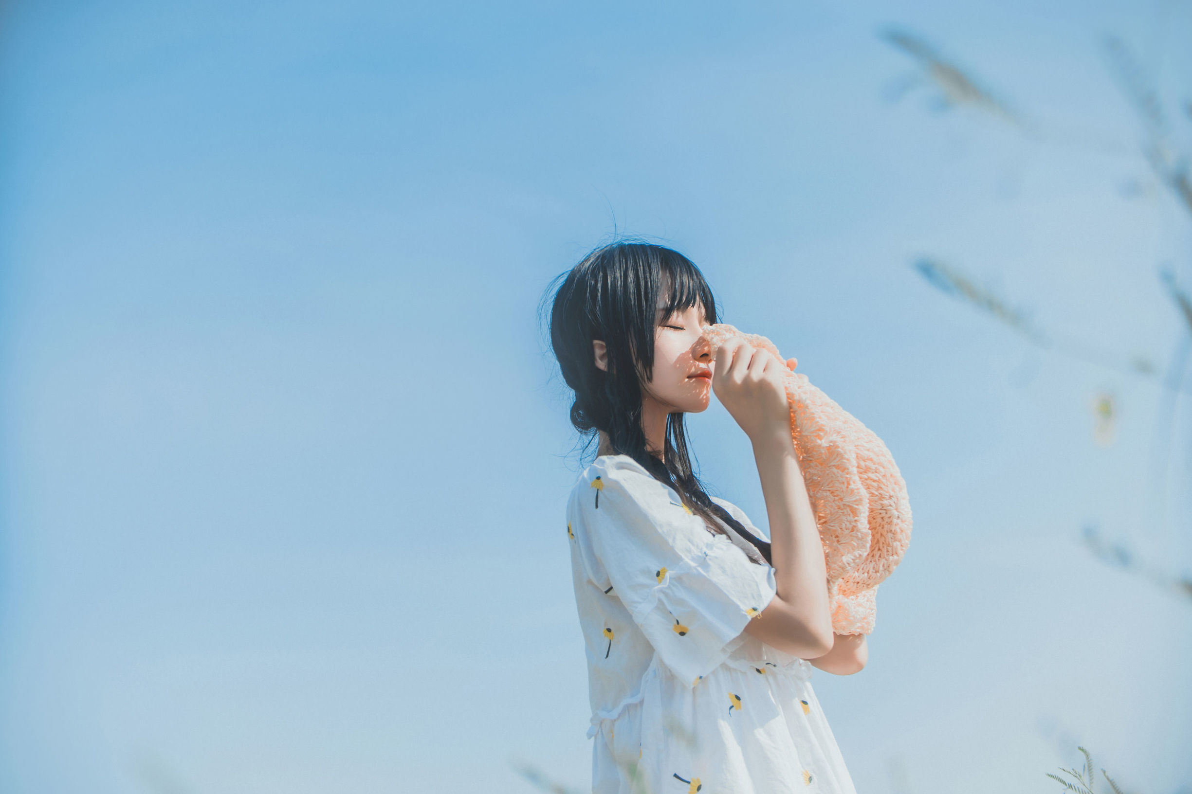 桜桃ニャン《田野》