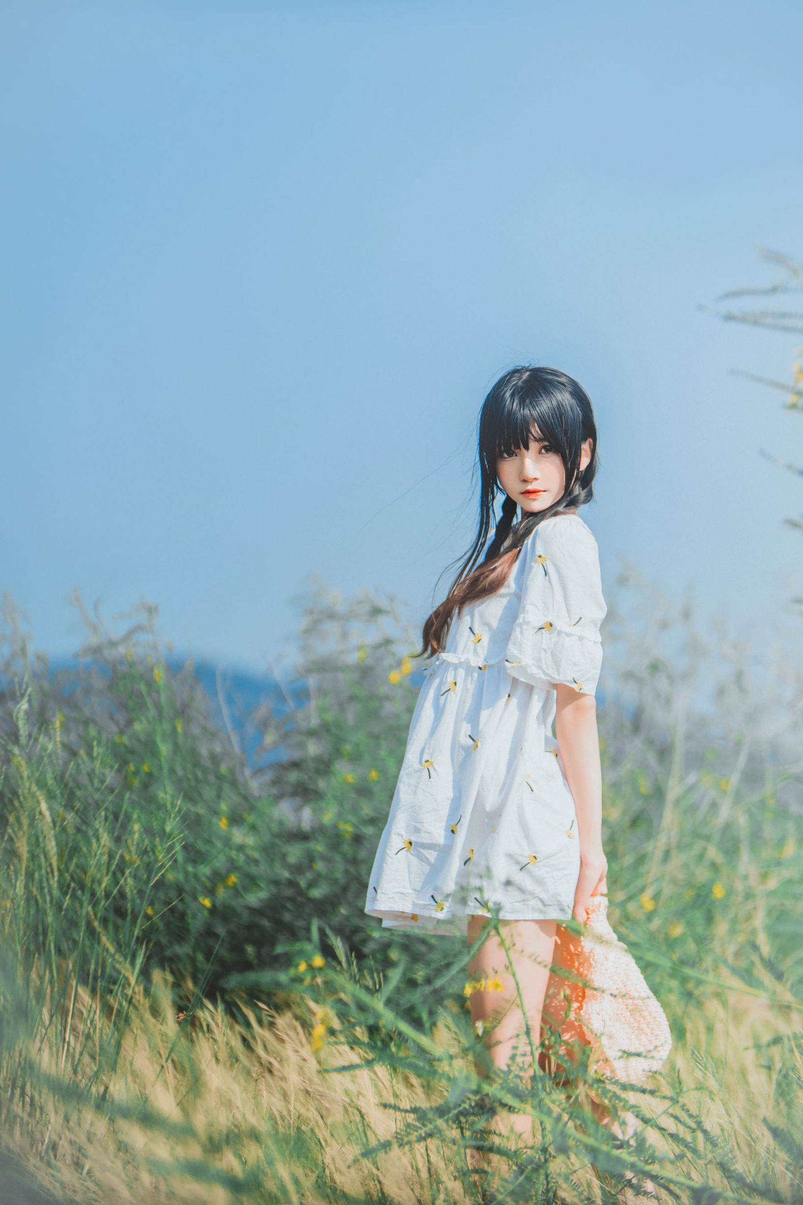 桜桃ニャン《田野》