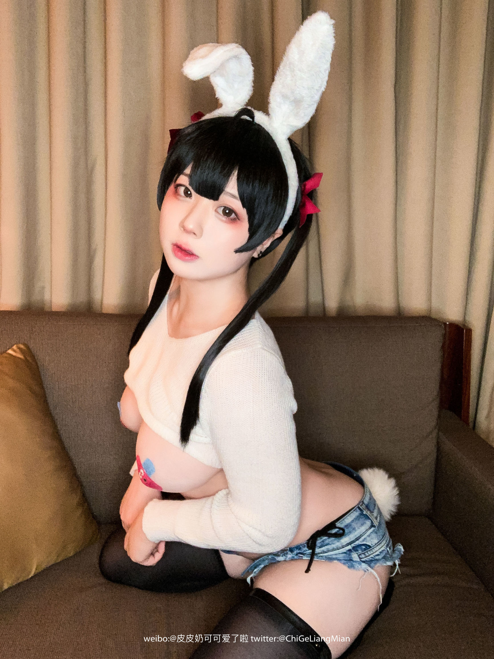 ピピナイはとてもかわいいよ！ ピザホワイトラビット
