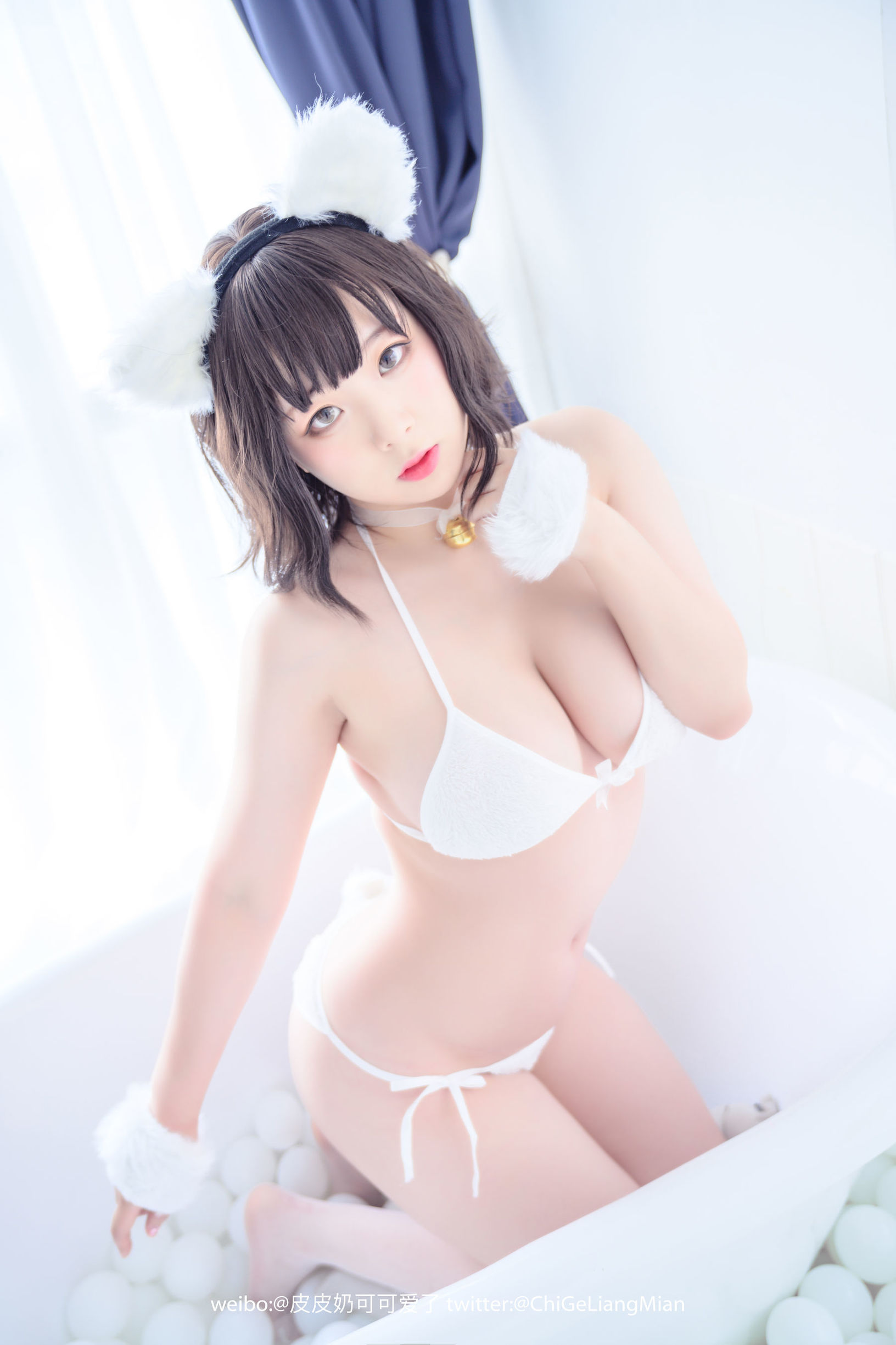 皮皮奶可可愛了啦 白貓