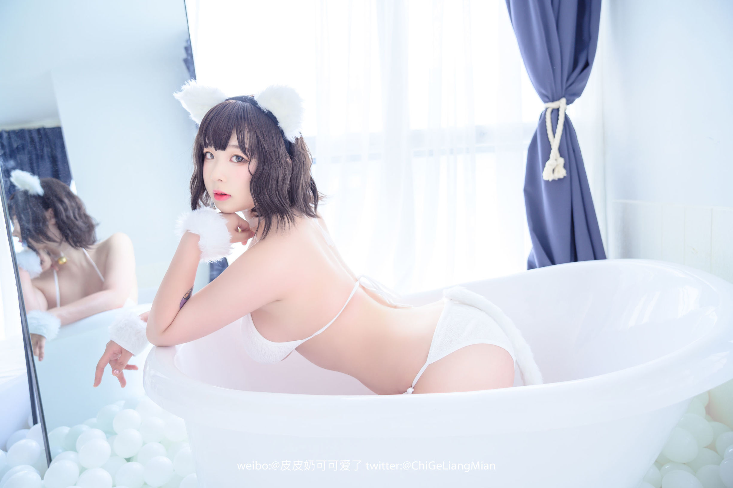 皮皮奶可可愛了啦 白貓
