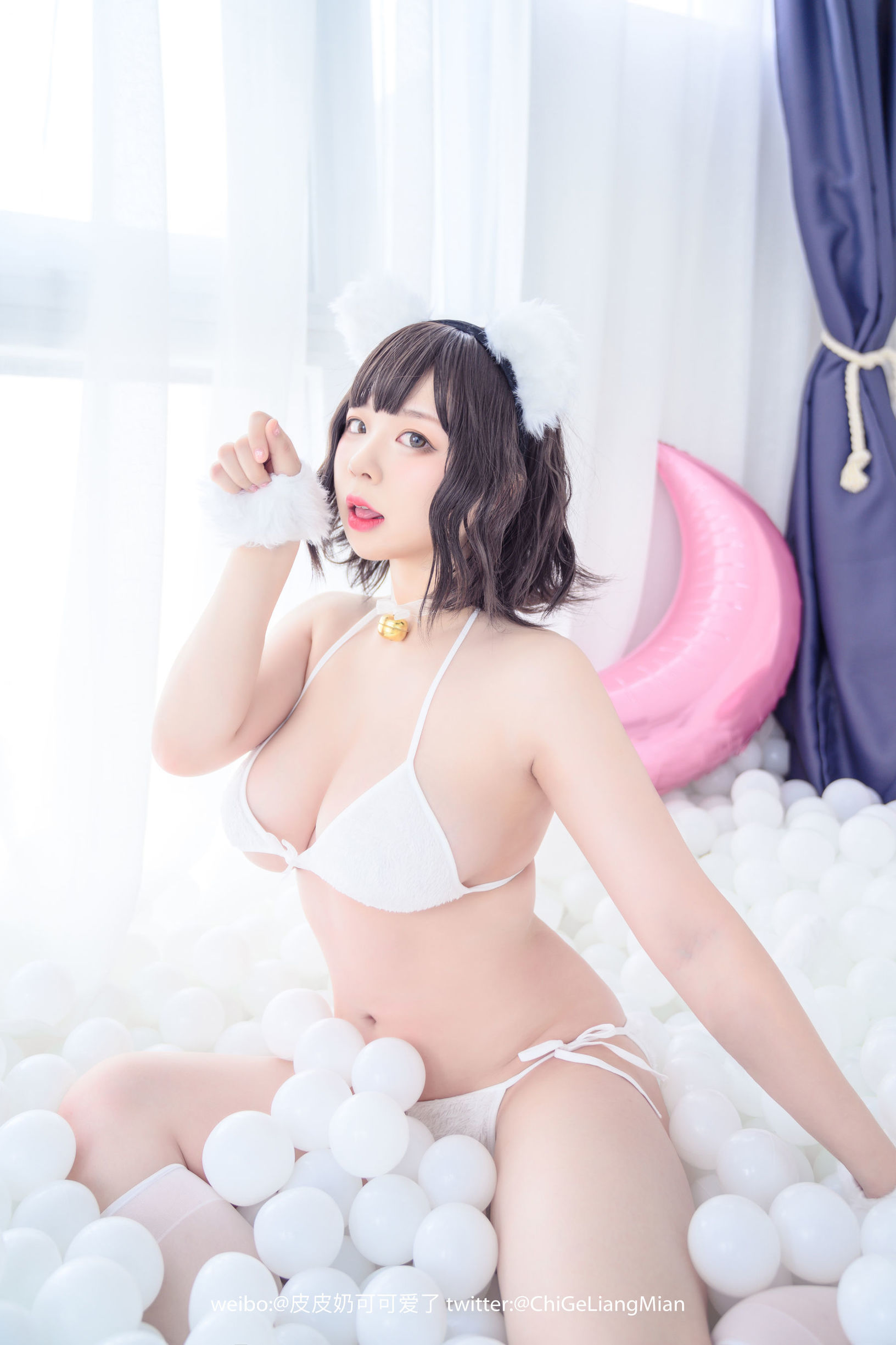 皮皮奶可可愛了啦 白貓