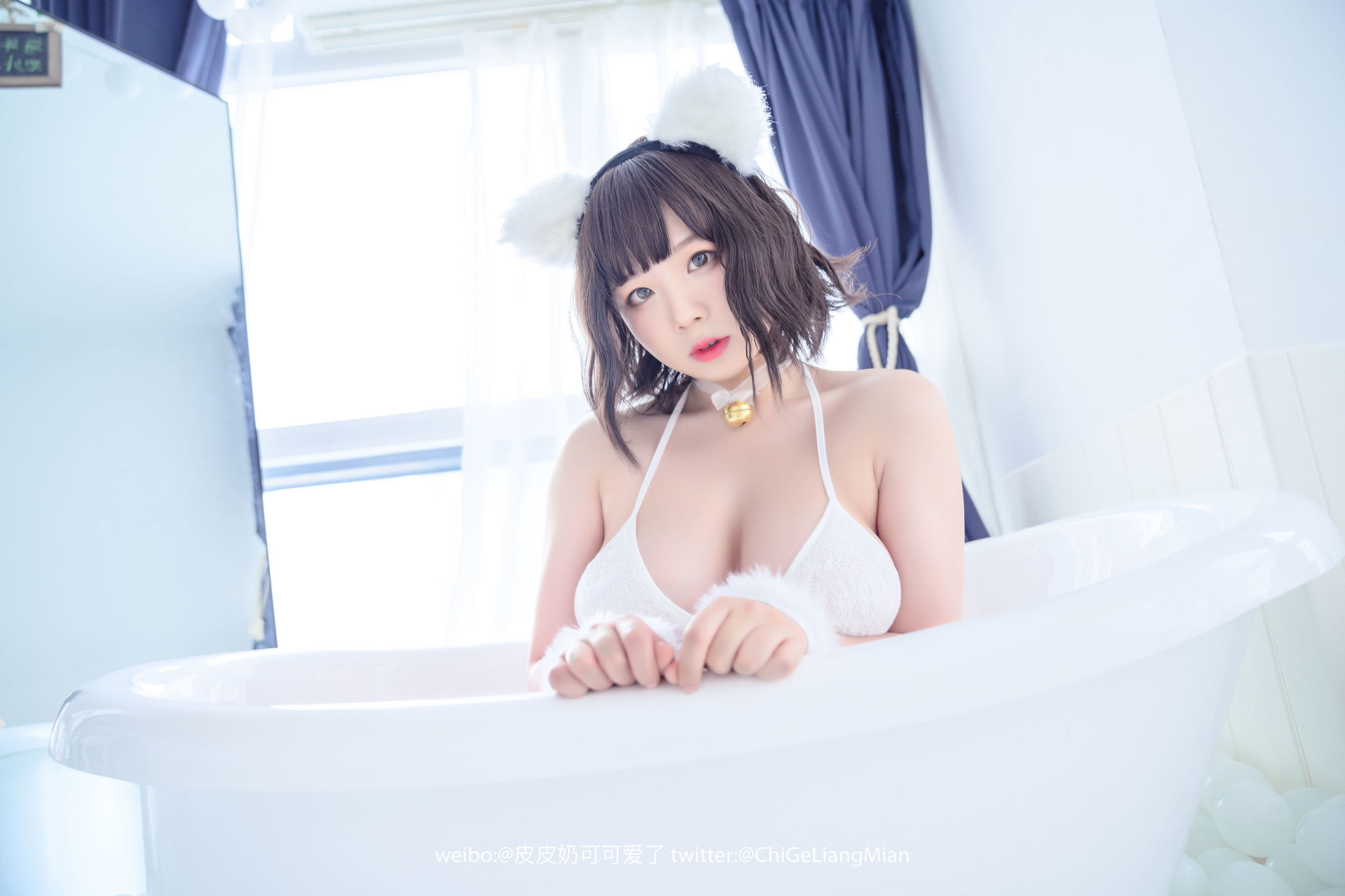 皮皮奶可可愛了啦 白貓