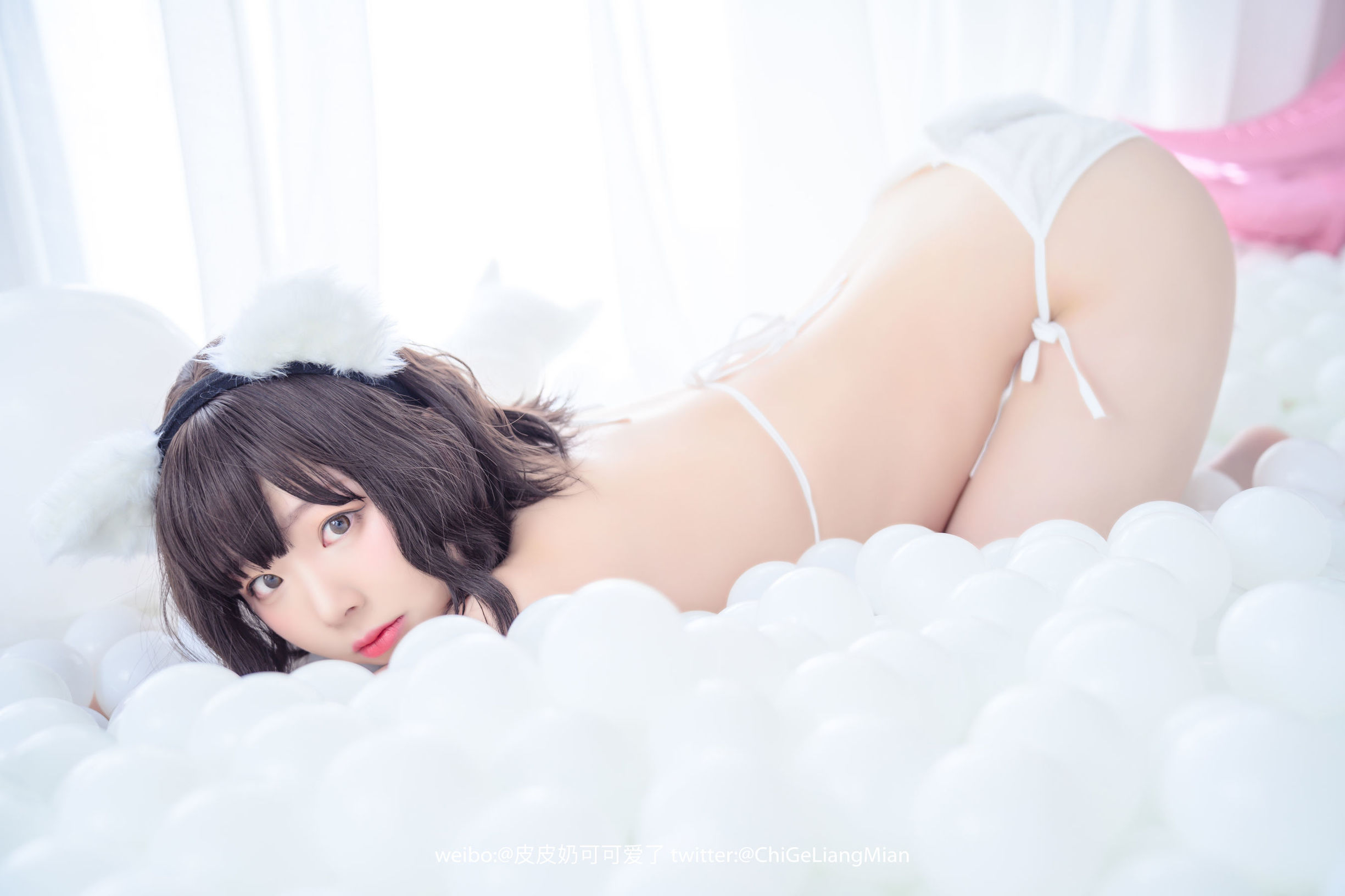 皮皮奶可可愛了啦 白貓