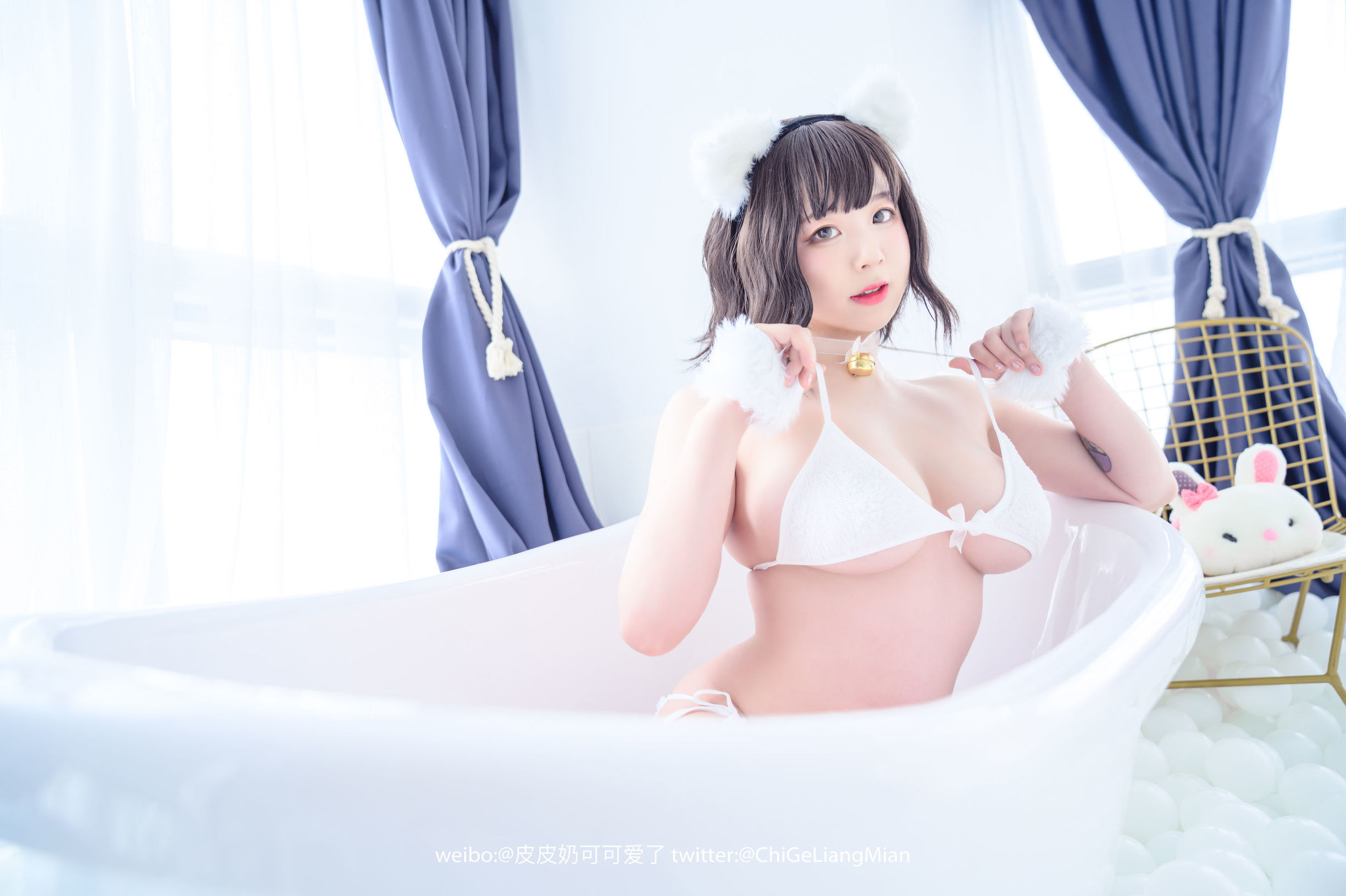 皮皮奶可可愛了啦 白貓