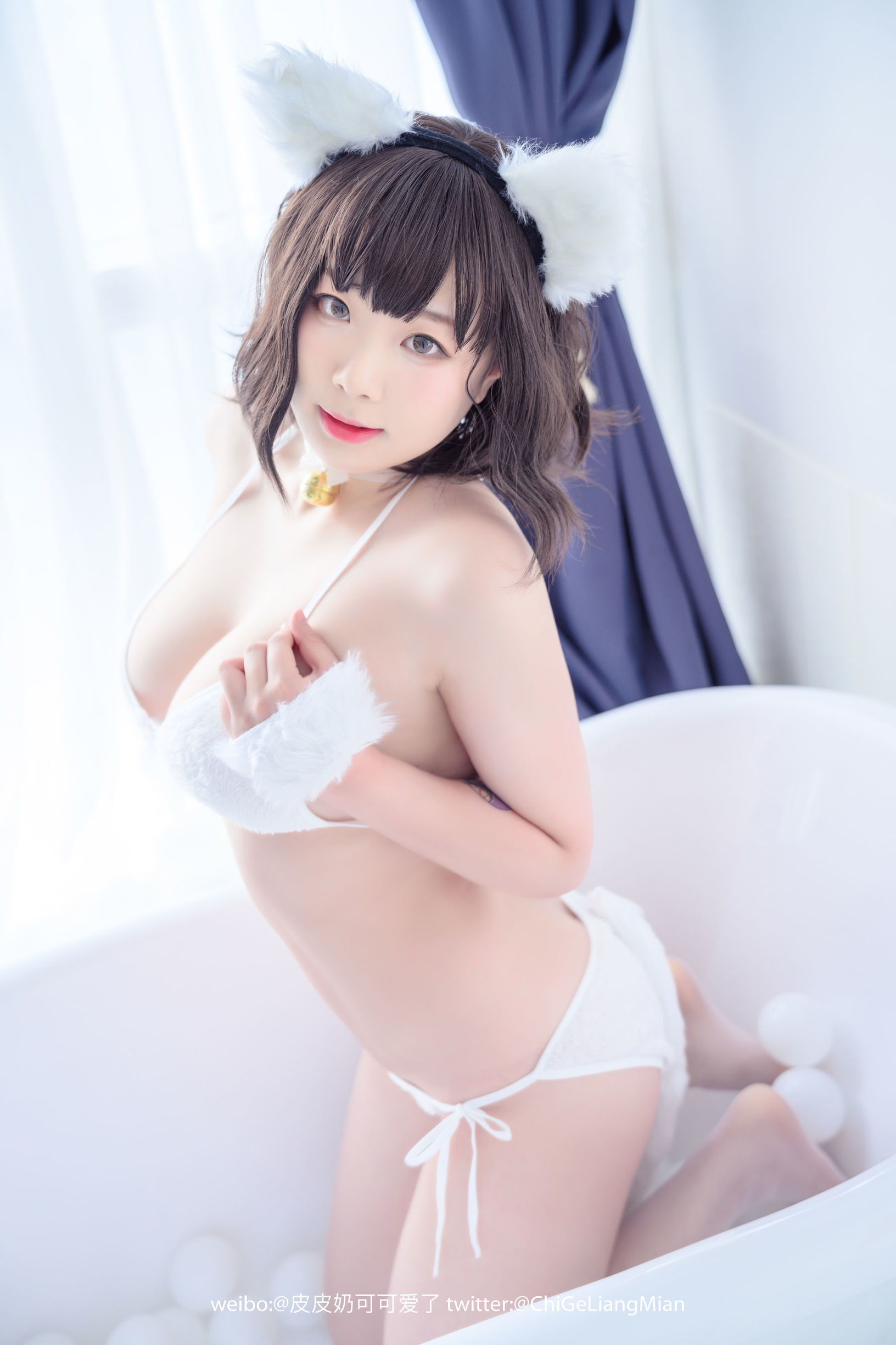 皮皮奶可可愛了啦 白貓