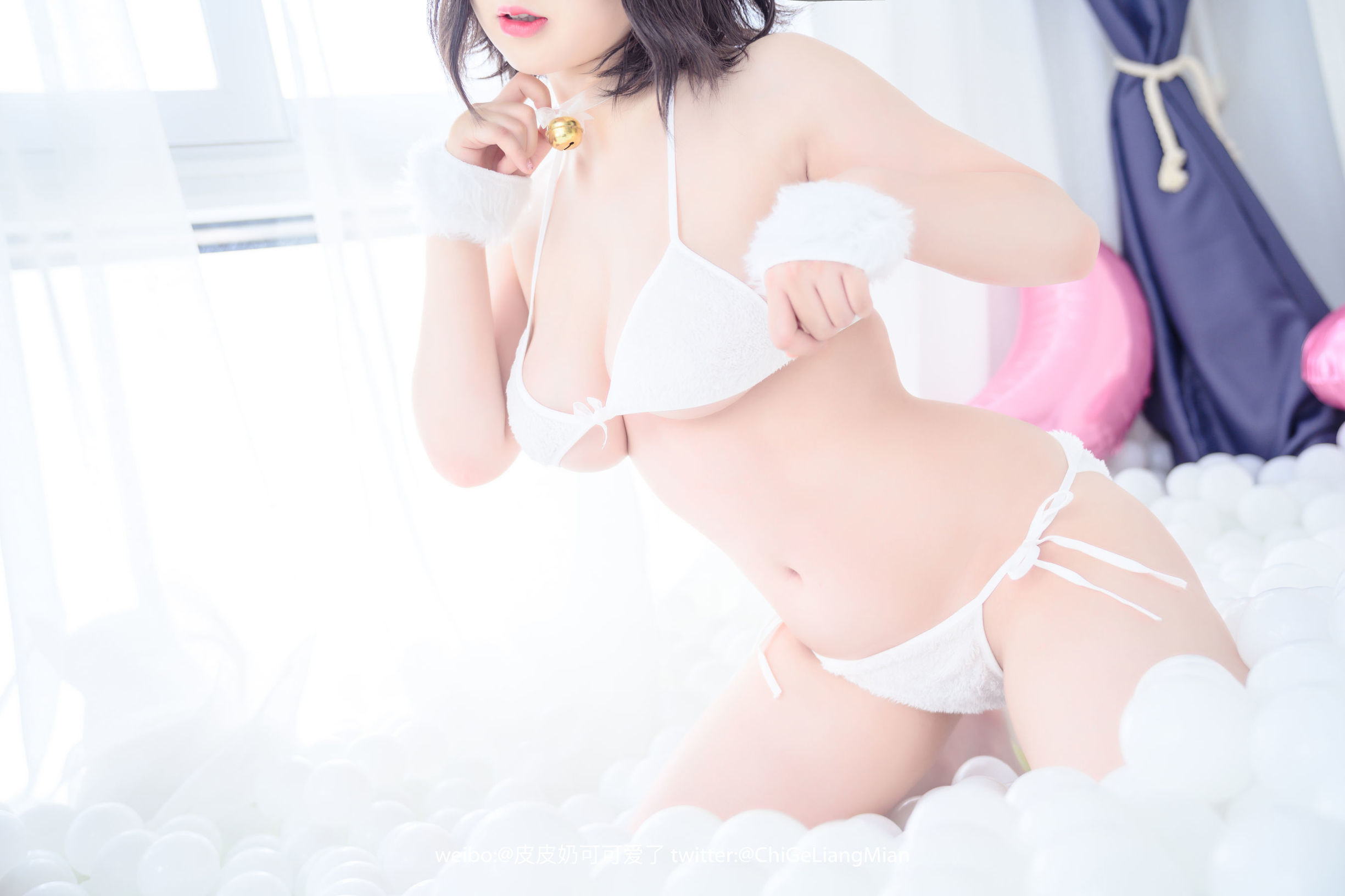 皮皮奶可可愛了啦 白貓