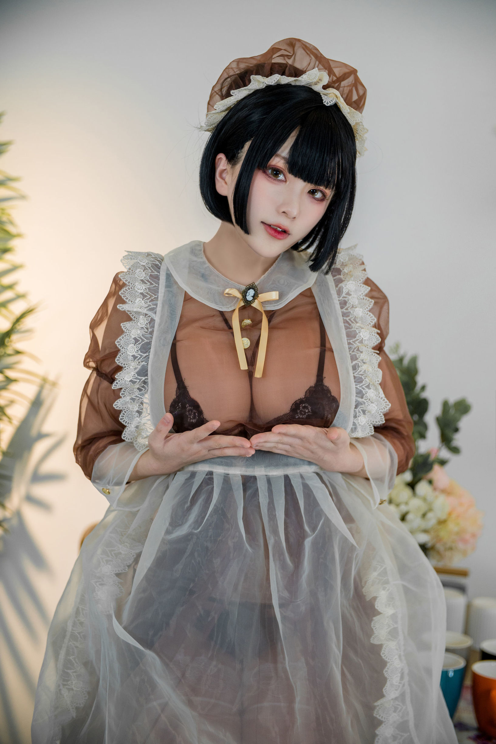 Cheese Block Wii Photo, Brown Transparent Maid Outfit