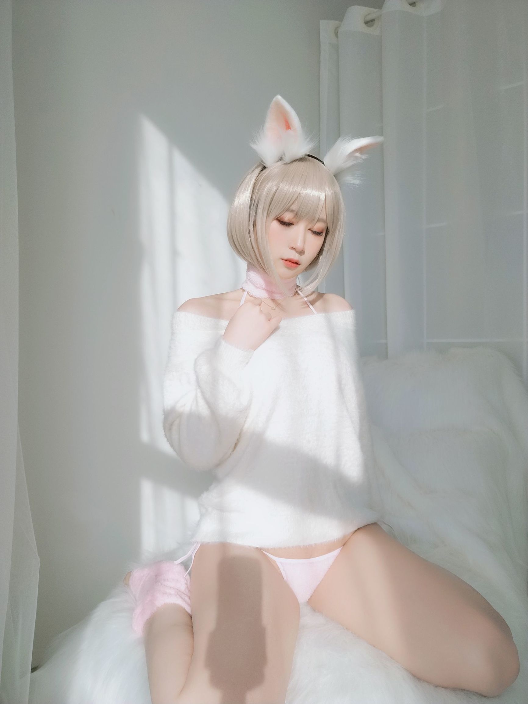 코서 아가씨 백은 작은 백토끼