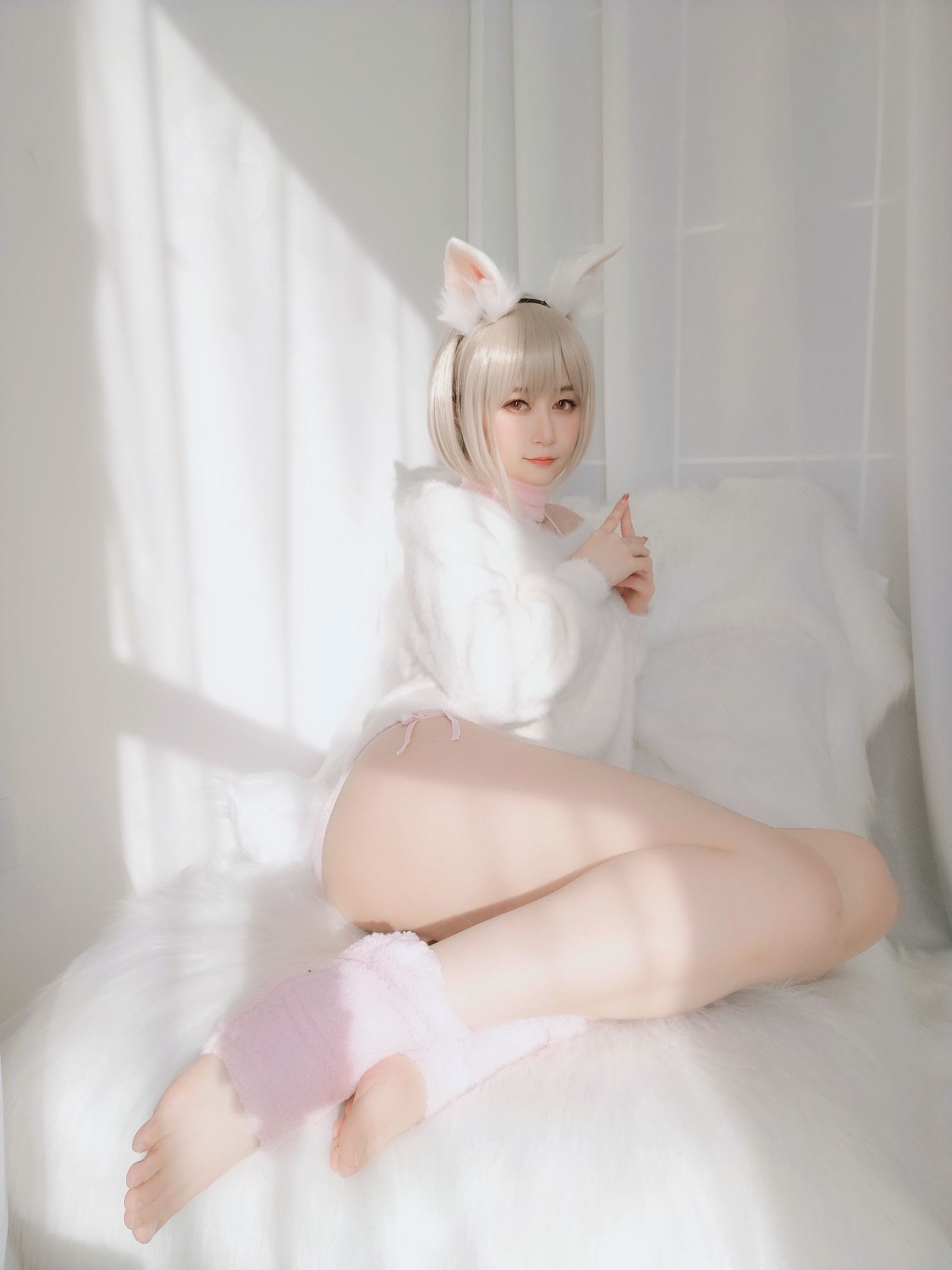 코서 아가씨 백은 작은 백토끼