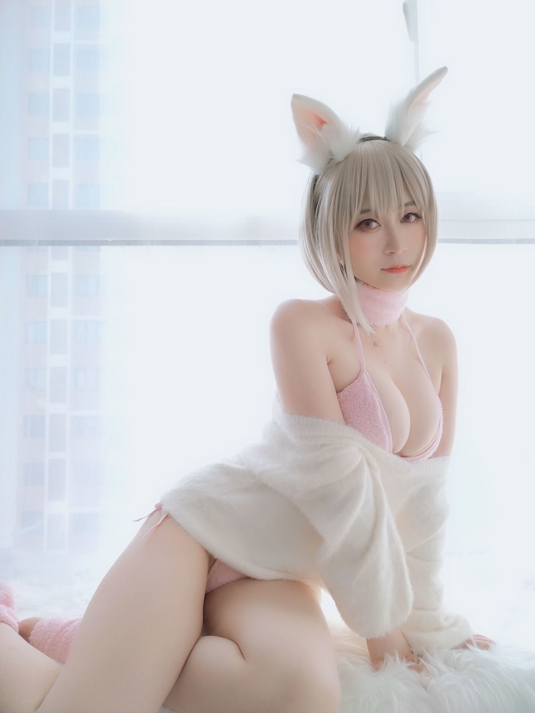 코서 아가씨 백은 작은 백토끼