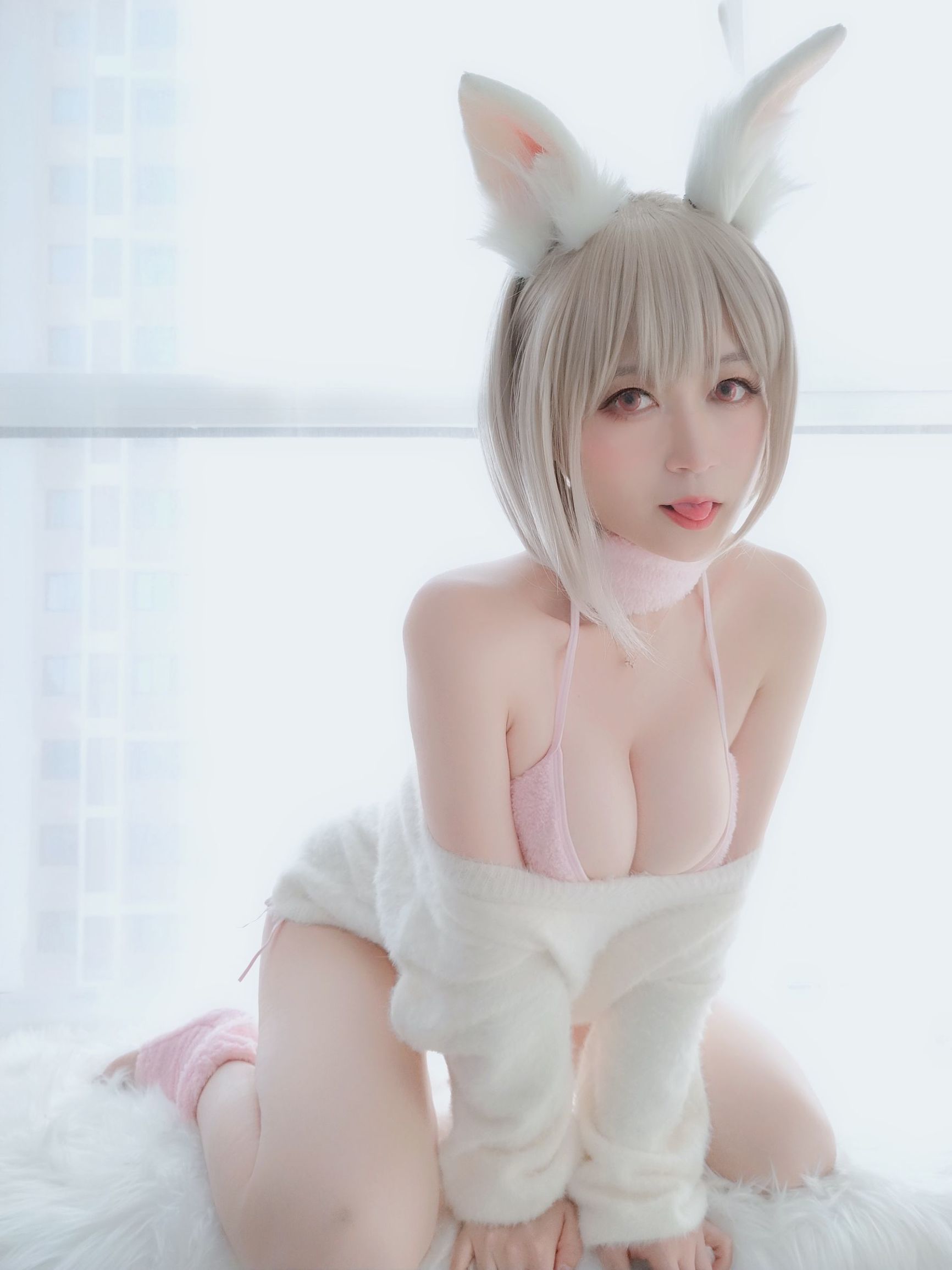 코서 아가씨 백은 작은 백토끼
