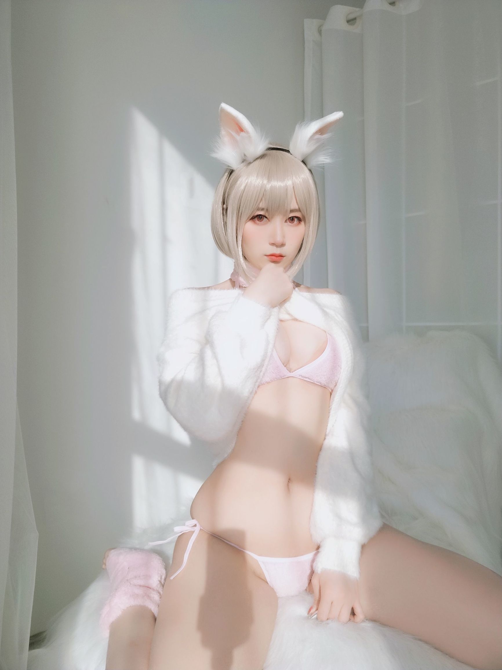 코서 아가씨 백은 작은 백토끼