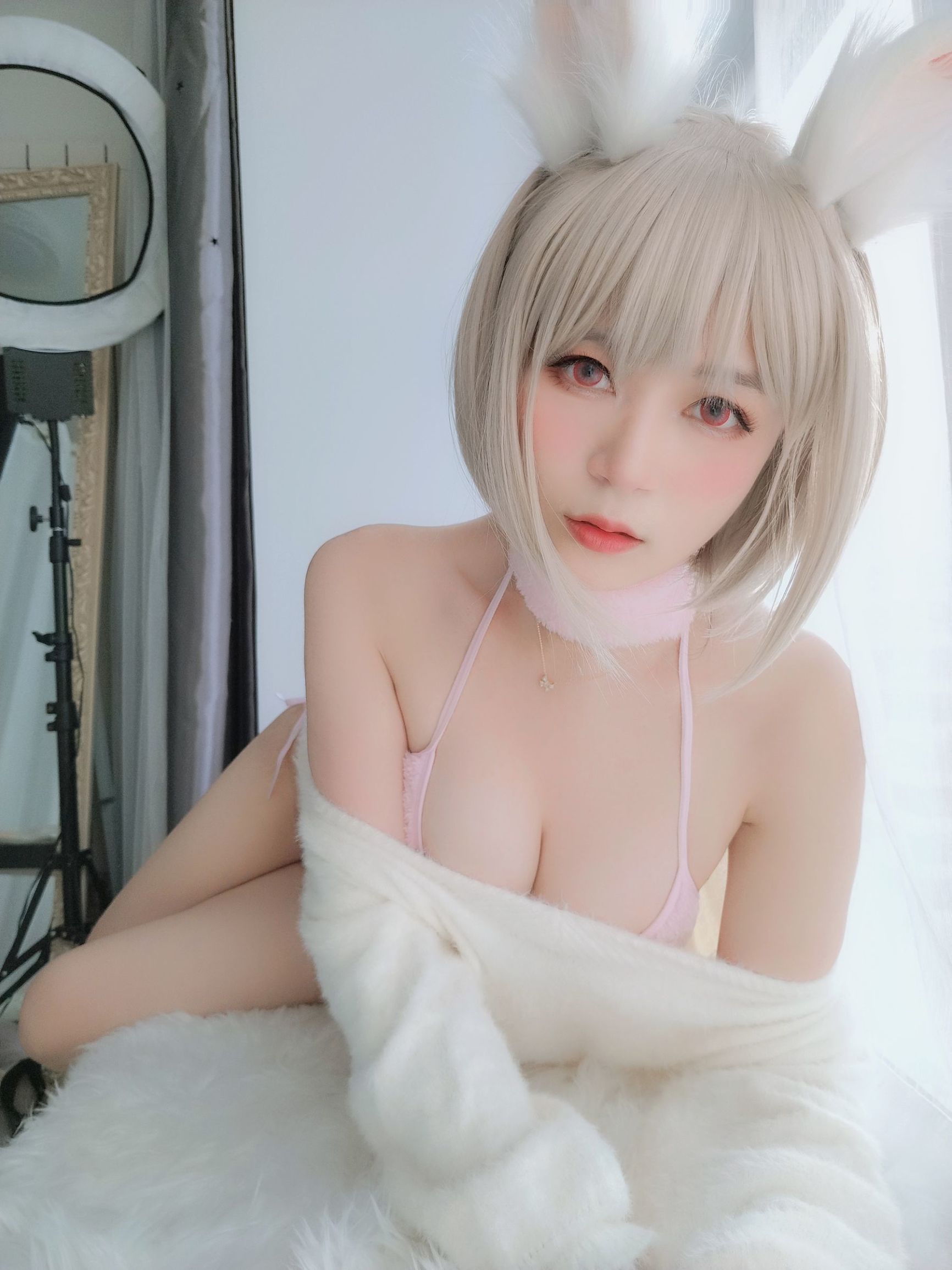 코서 아가씨 백은 작은 백토끼